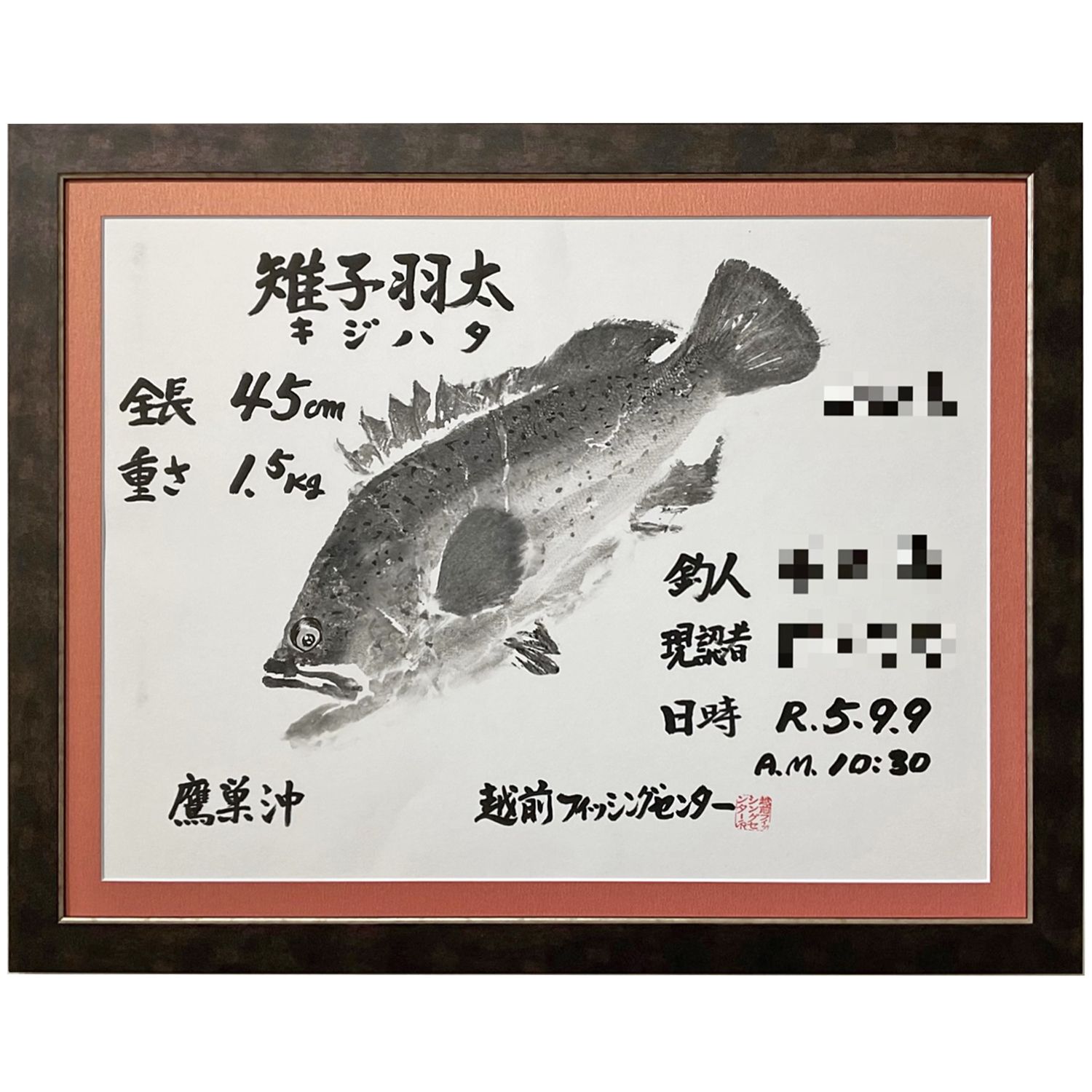 魚拓 雉子羽太(キジハタ)