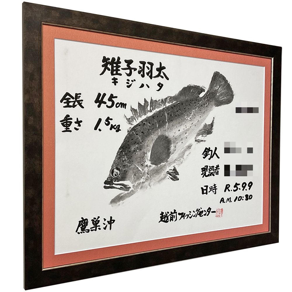 魚拓 雉子羽太(キジハタ)