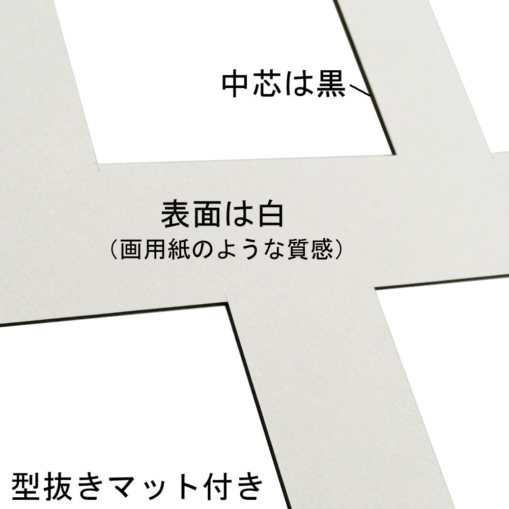 詳細画像3 トレーディングカード額 5590N