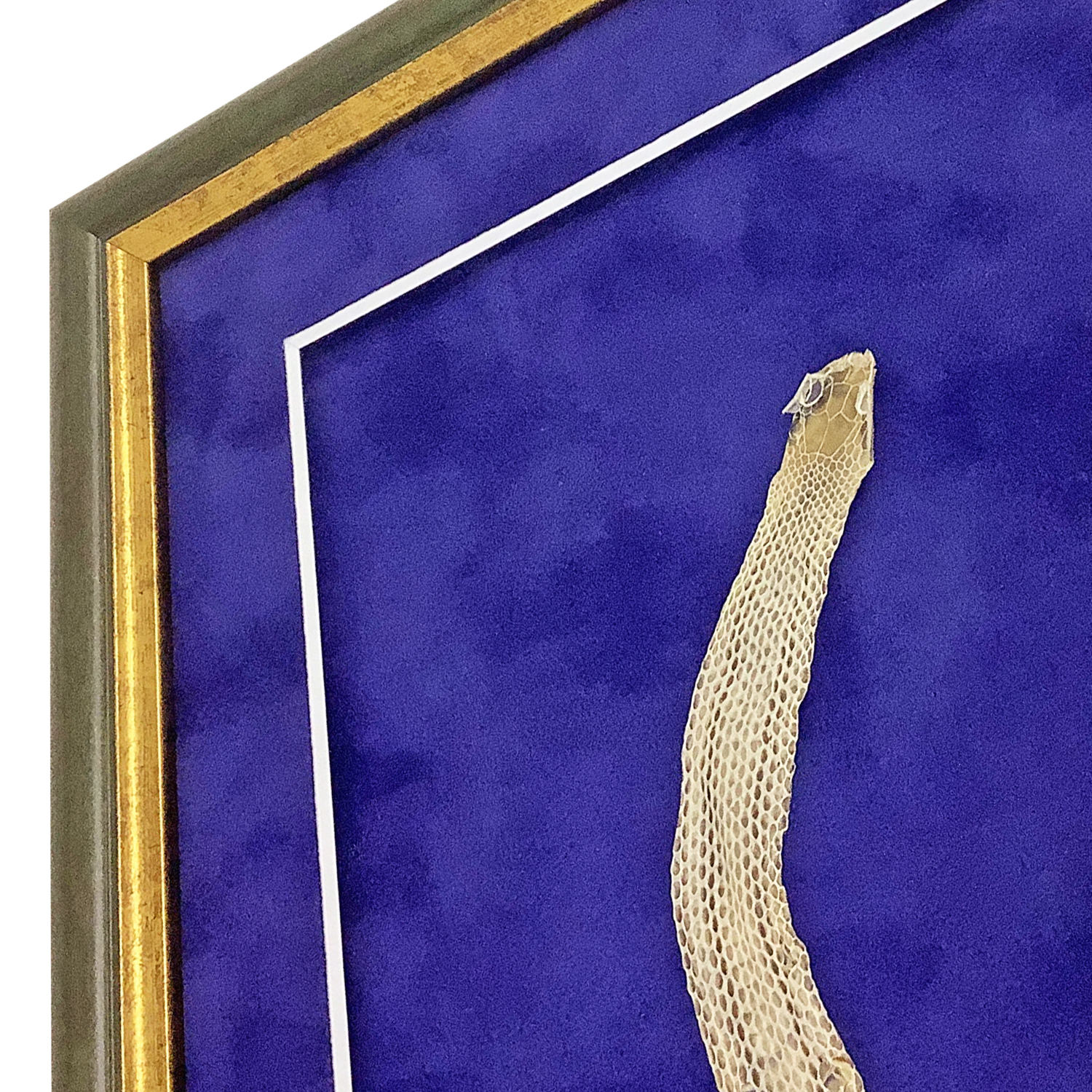 蛇の抜け殻 上へ