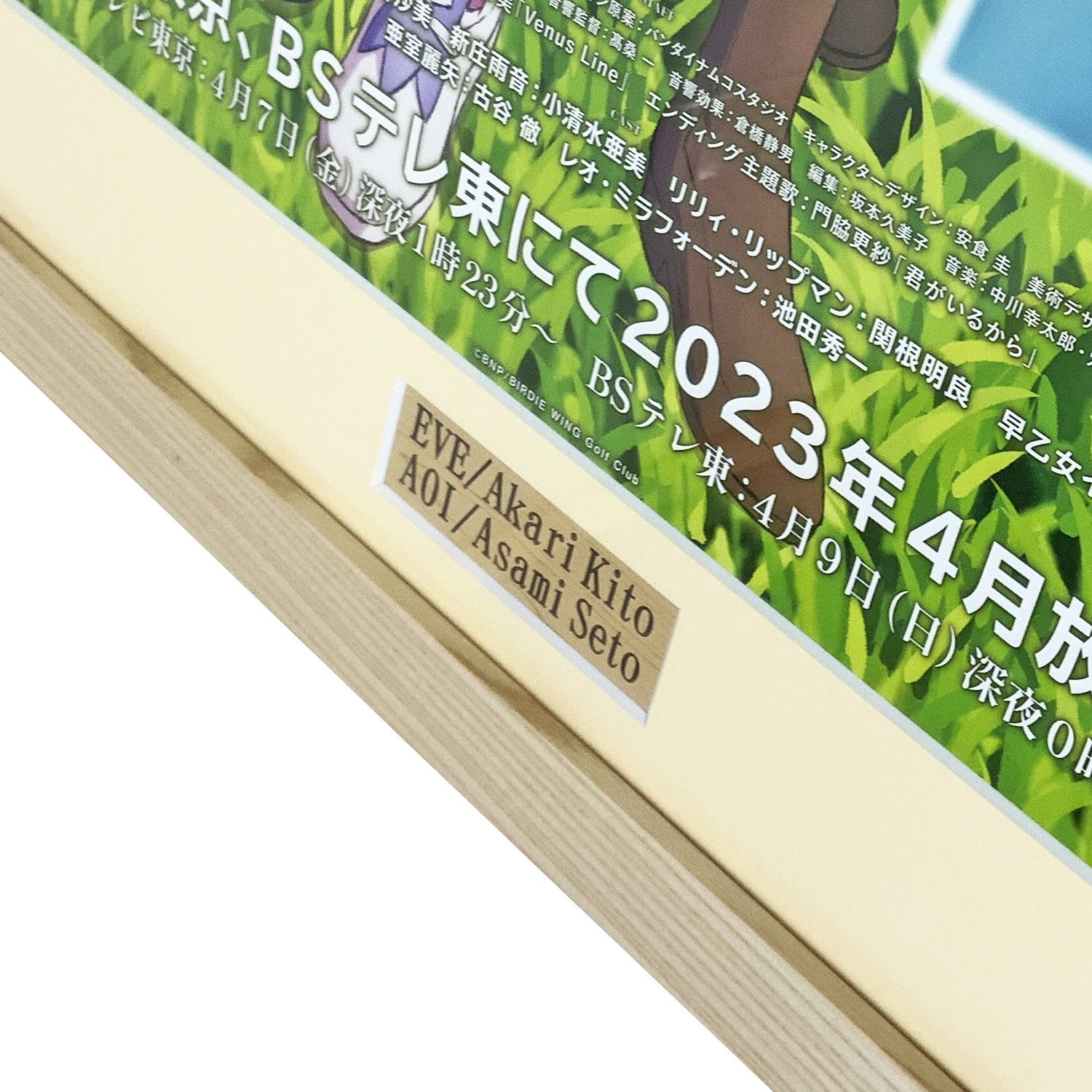 額装実例4 BIRDIE WING ポスター