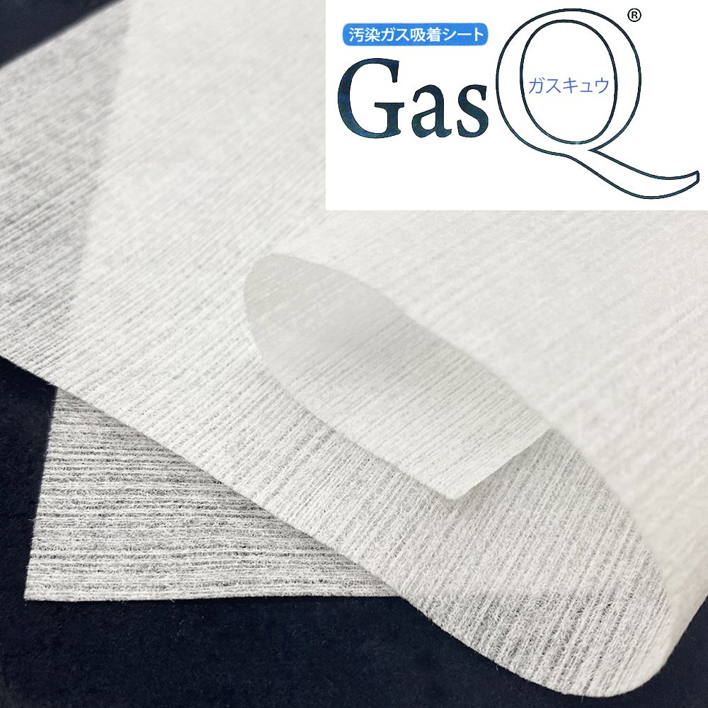 保存額装 gasQ(ガスキュウ)