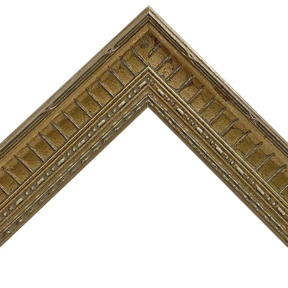 GT302 シャンペン