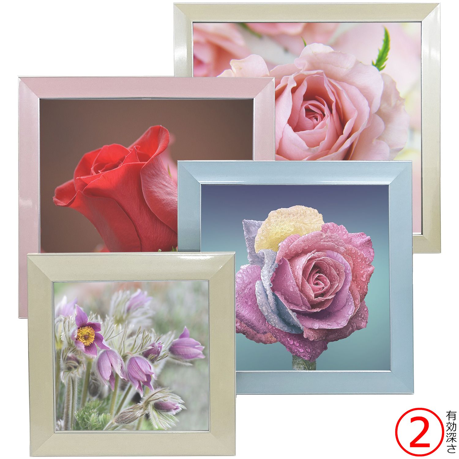 ミニ額　8枚セット（多色・アクリル付き）10角　15角　18×13ｃｍ 透明アクリル5面ボックス 20cm角×高さ10cm ［ストエキオリジナル］