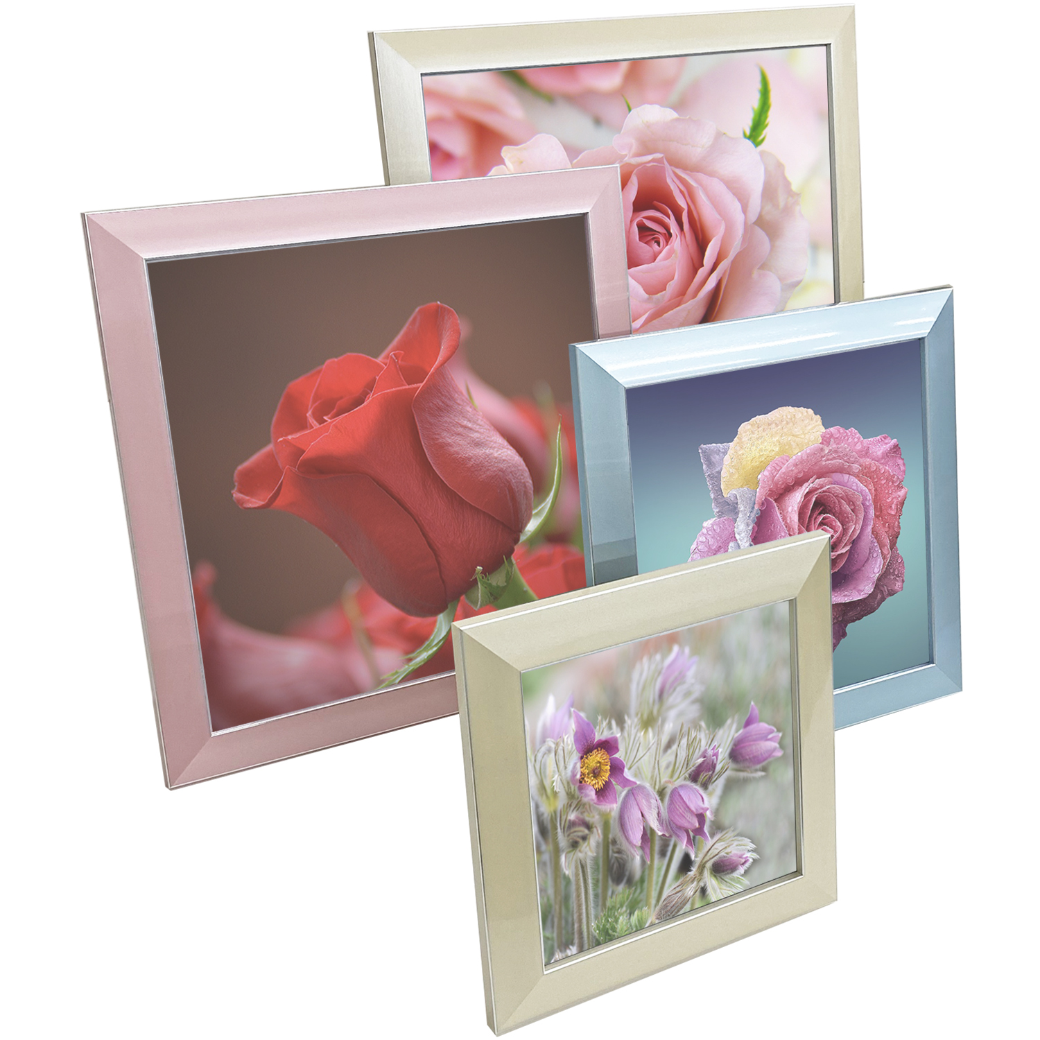 詳細画像2 一般額 7919(スタンド付)