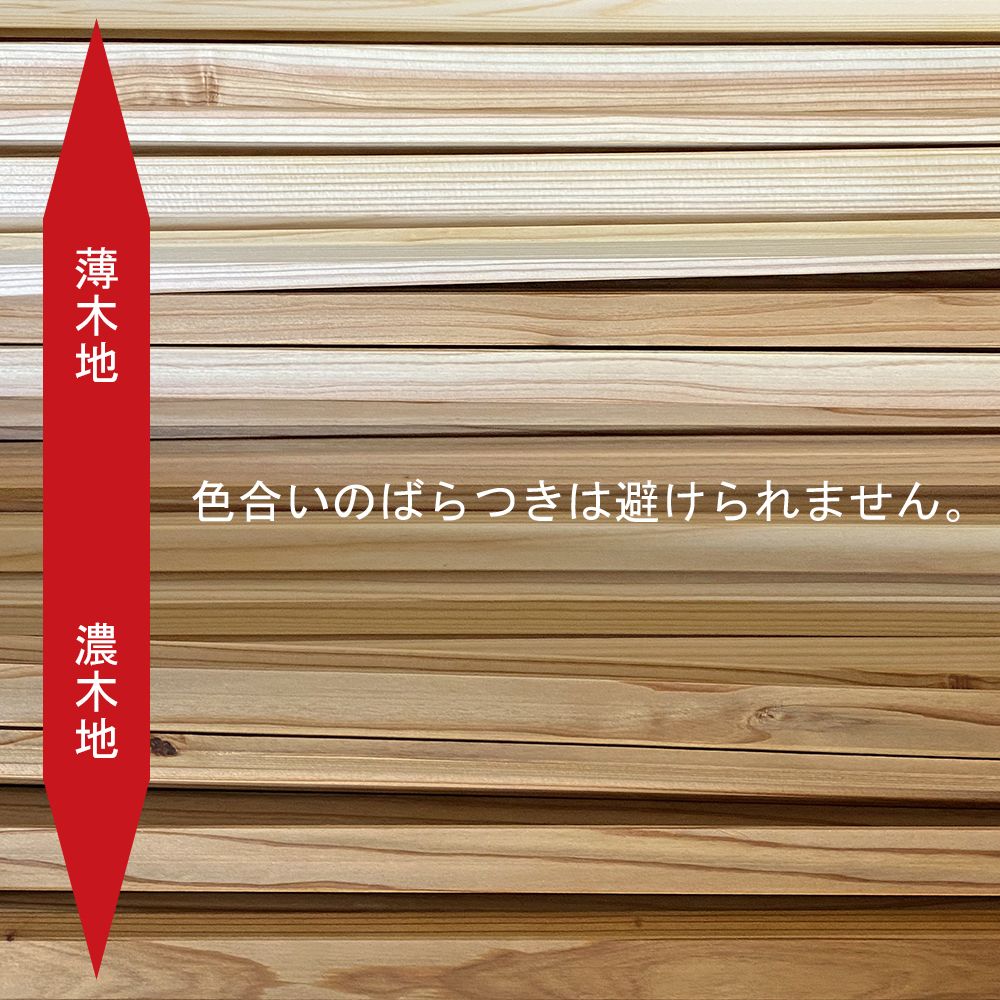 九州杉22 ※