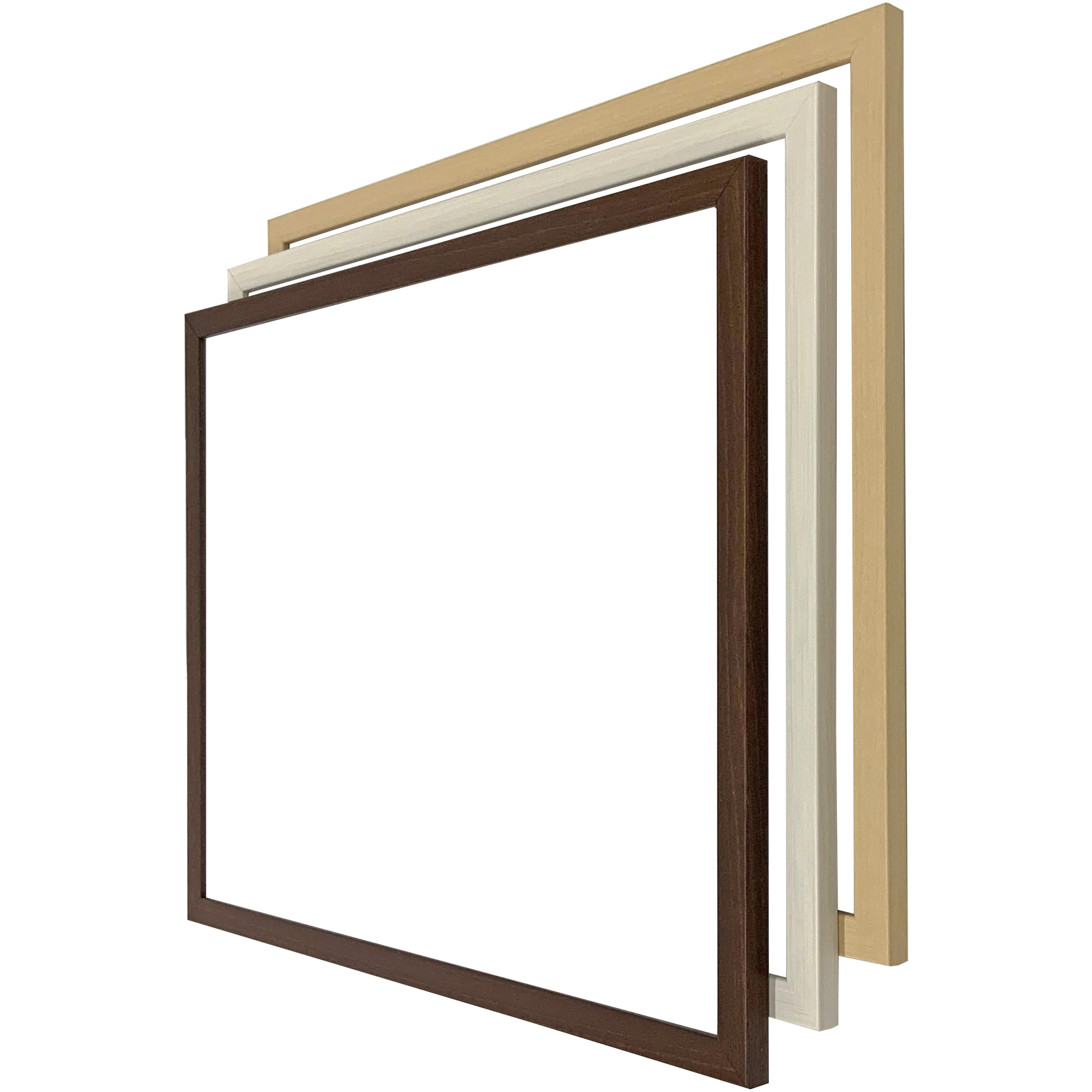 詳細画像5 一般額 5913