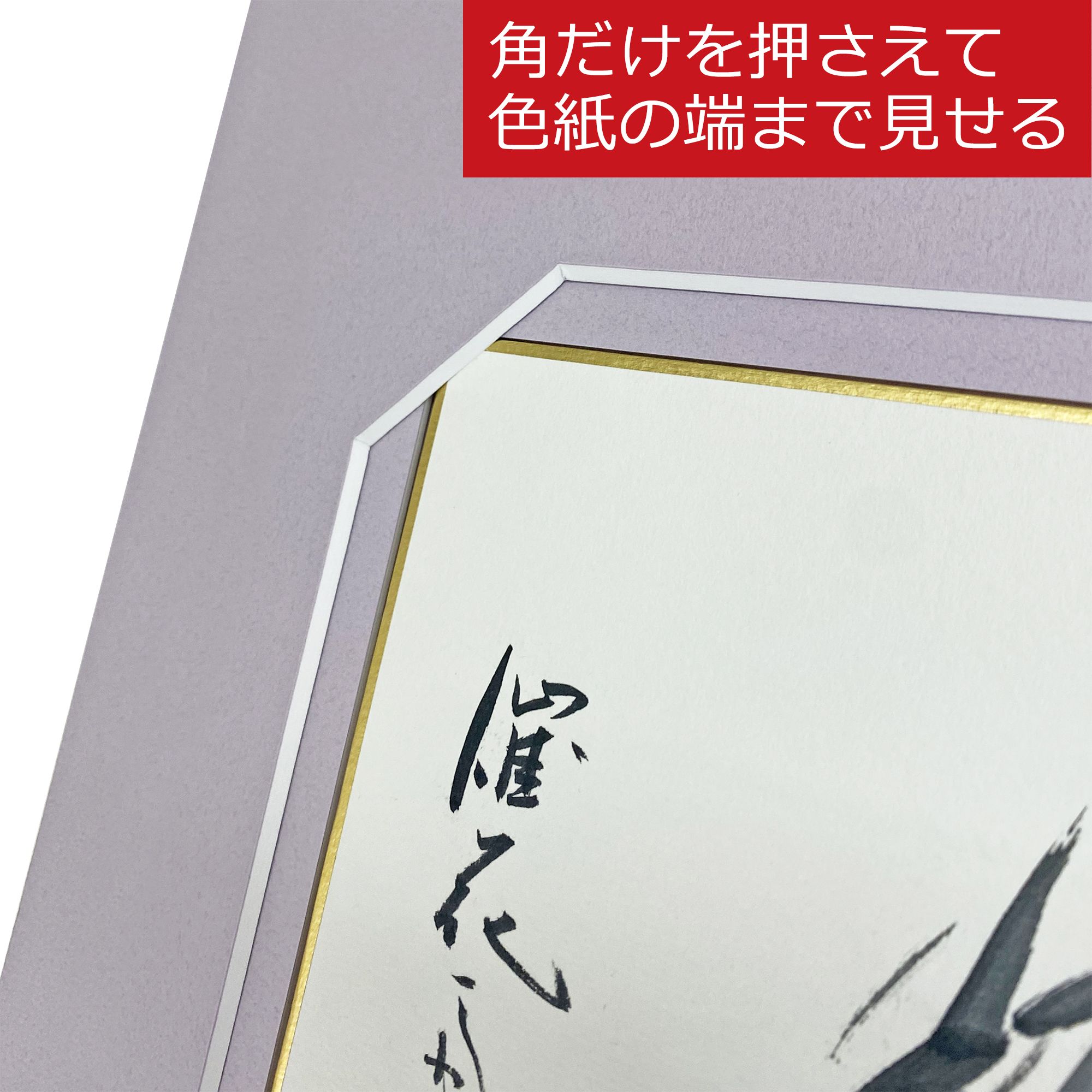 端まで見せる保存額装色紙額 BH-15F