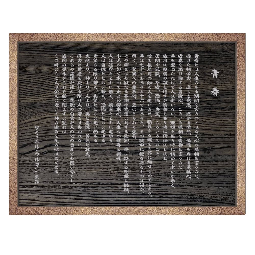 詳細画像3 青春(YOUTH訳文)