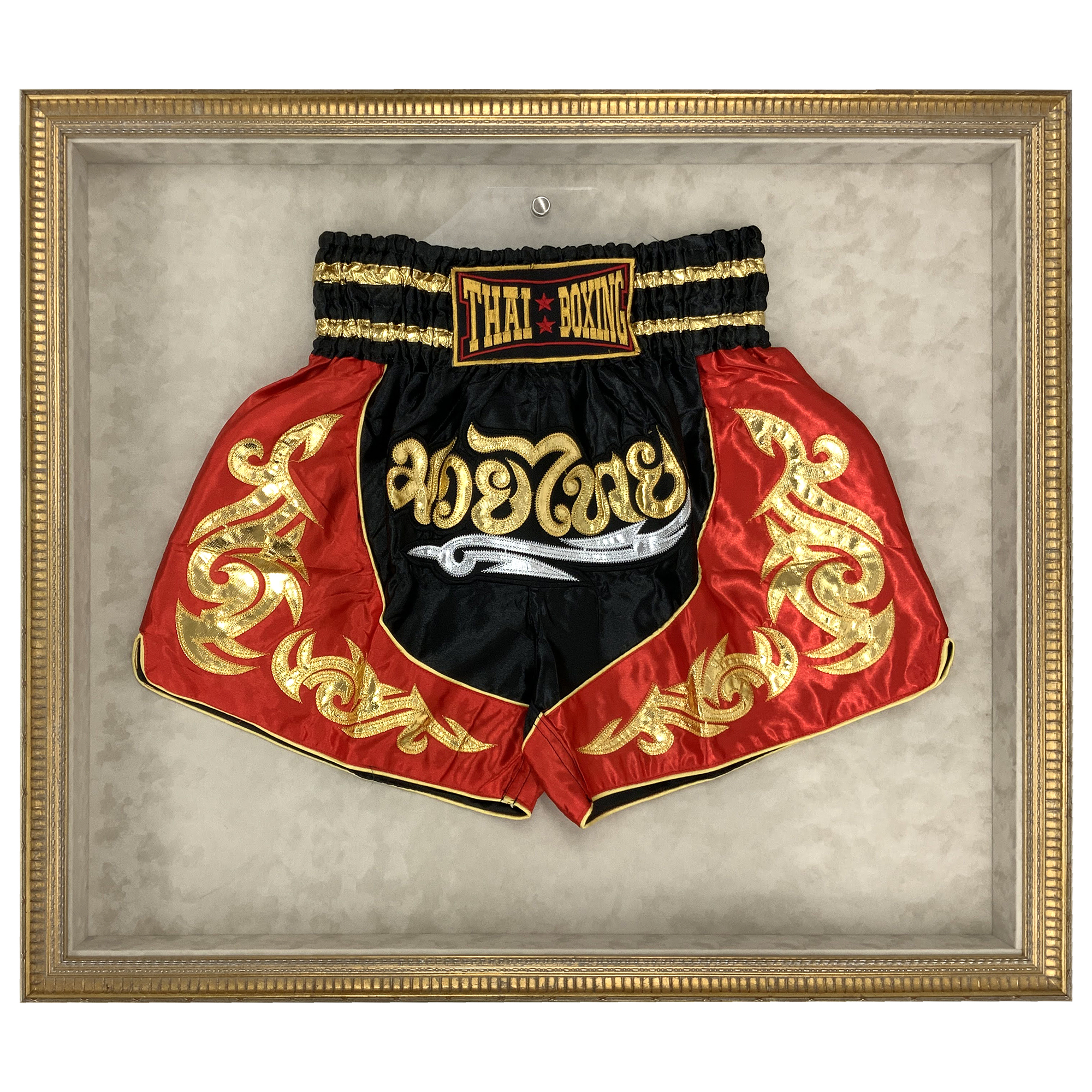 詳細画像 トランクス専用額 GT302