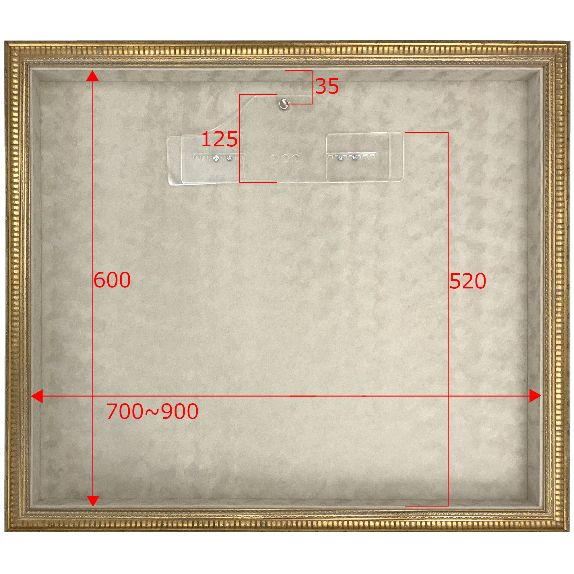 詳細画像5 トランクス専用額 GT302