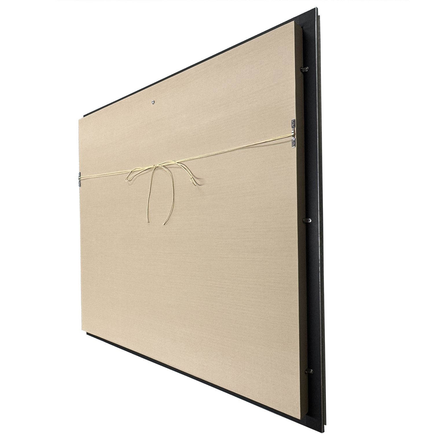 詳細画像8 トランクス専用額 GT302