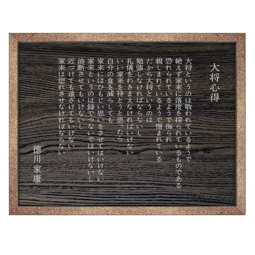 詳細画像 徳川家康 大将心得