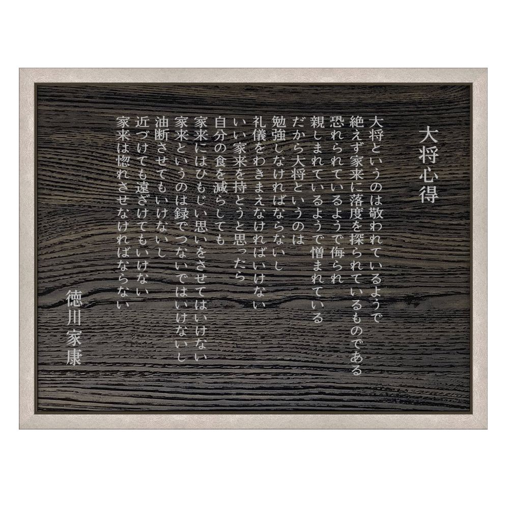 詳細画像2 徳川家康 大将心得