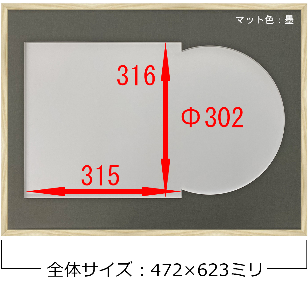 詳細画像6 LPジャケット専用額 GT501