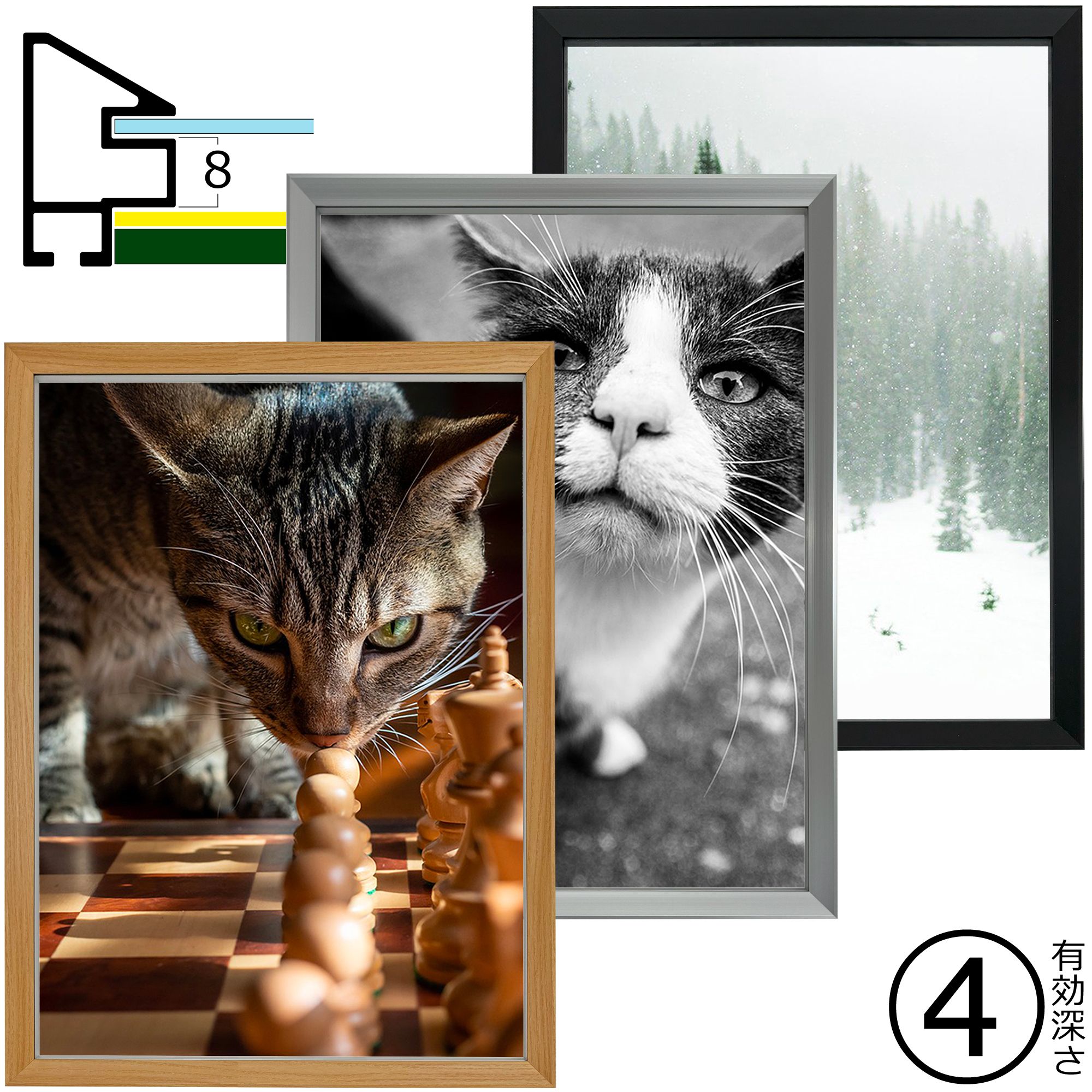 詳細画像 一般額(深型) クレーツ