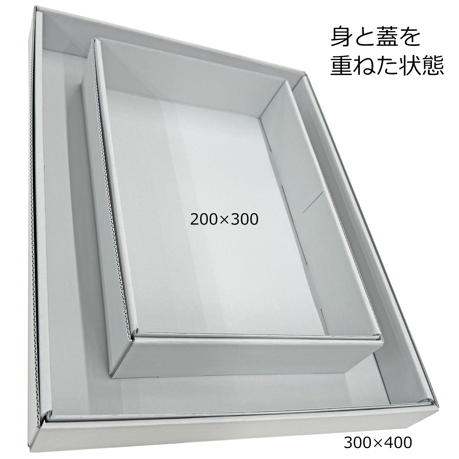 詳細画像4 保存かぶせ箱 アーカイバルボード