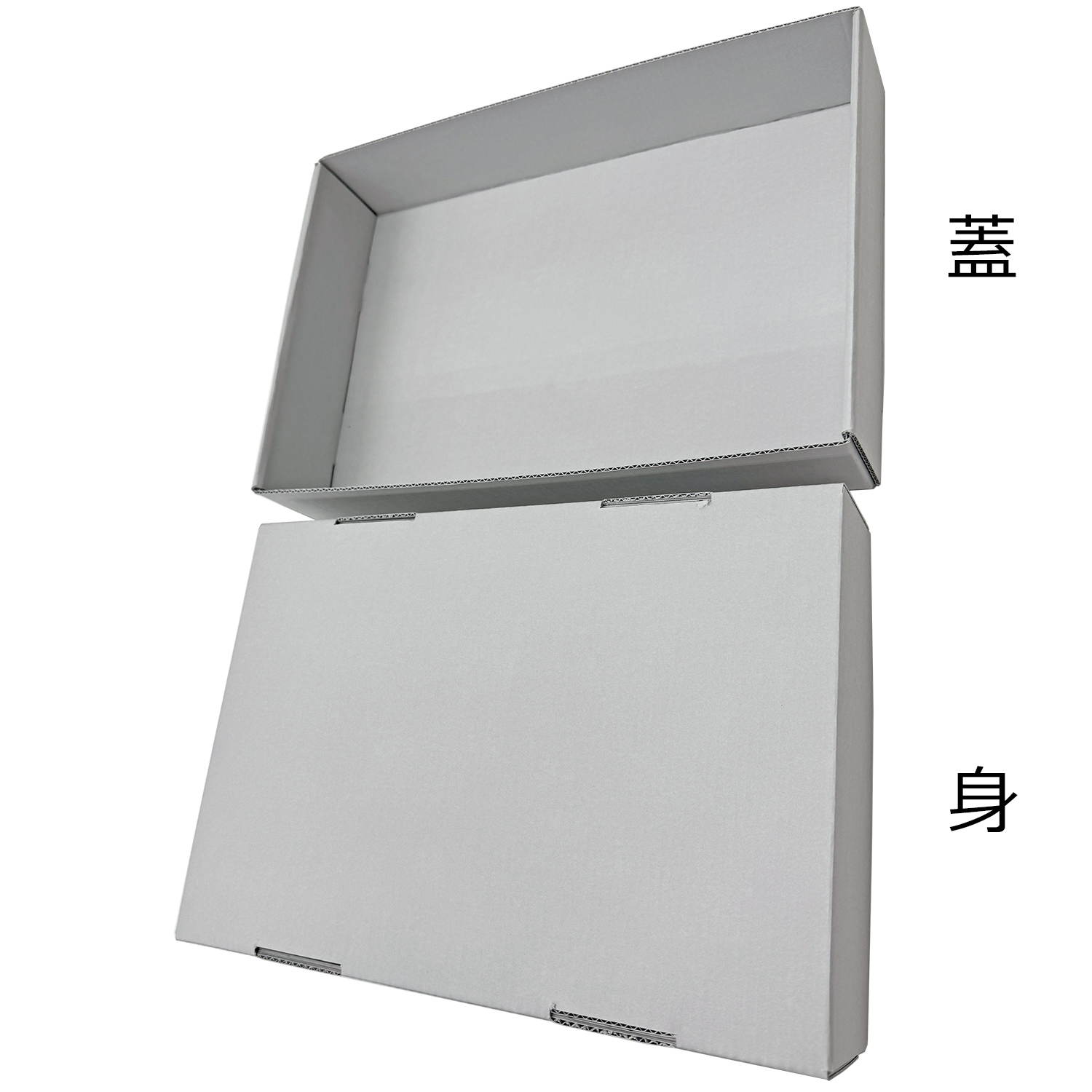 詳細画像7 保存かぶせ箱 アーカイバルボード