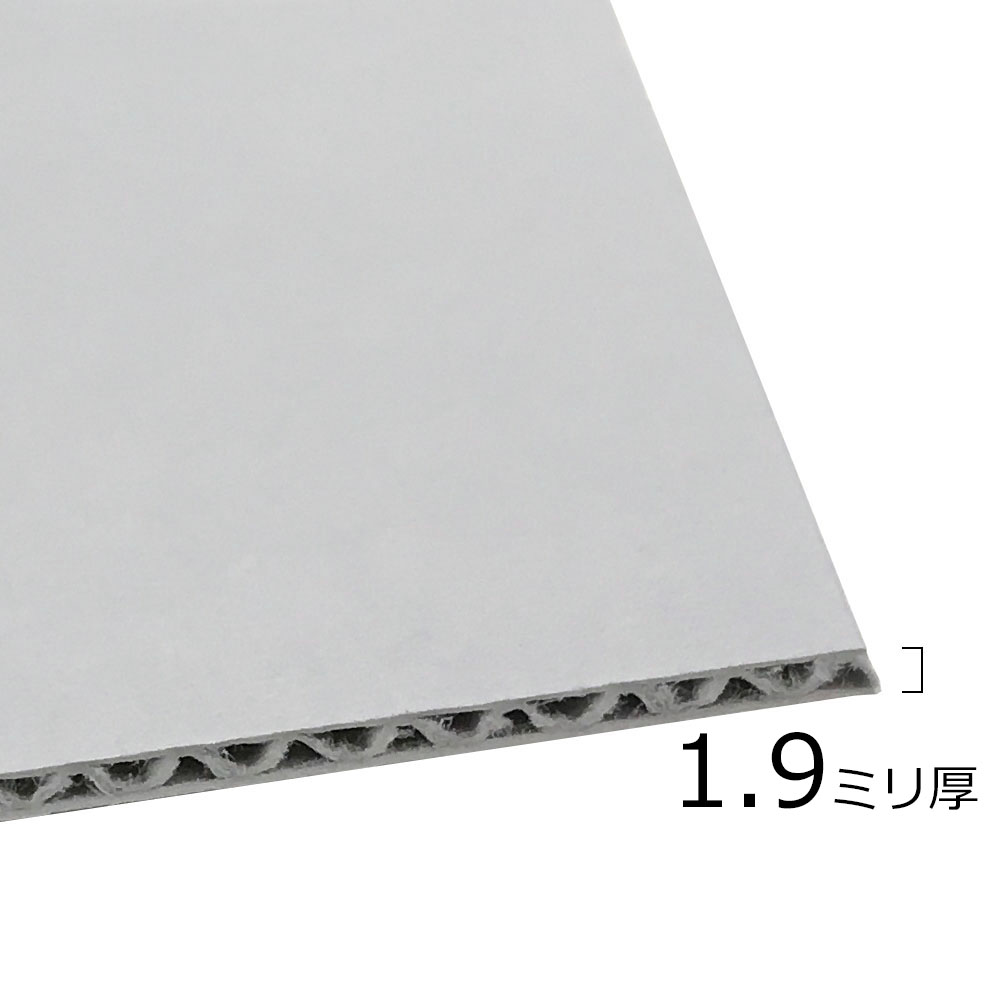 詳細画像9 保存かぶせ箱 アーカイバルボード