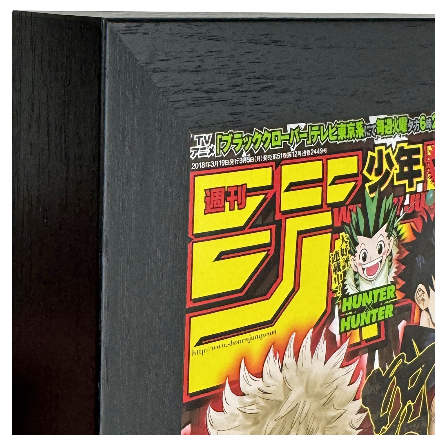 詳細画像3 少年誌専用額