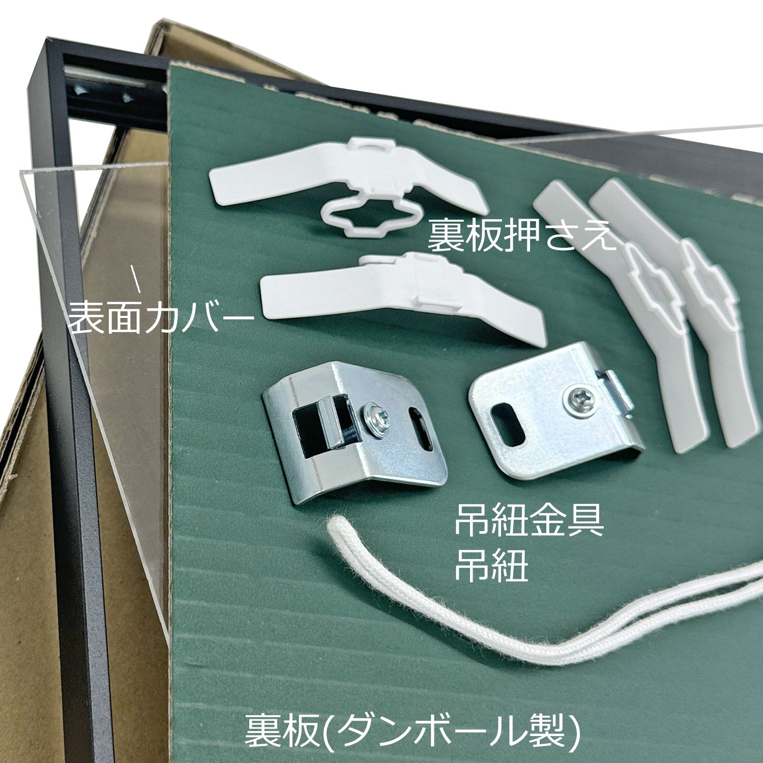 詳細画像5 ラインフレーム 5017