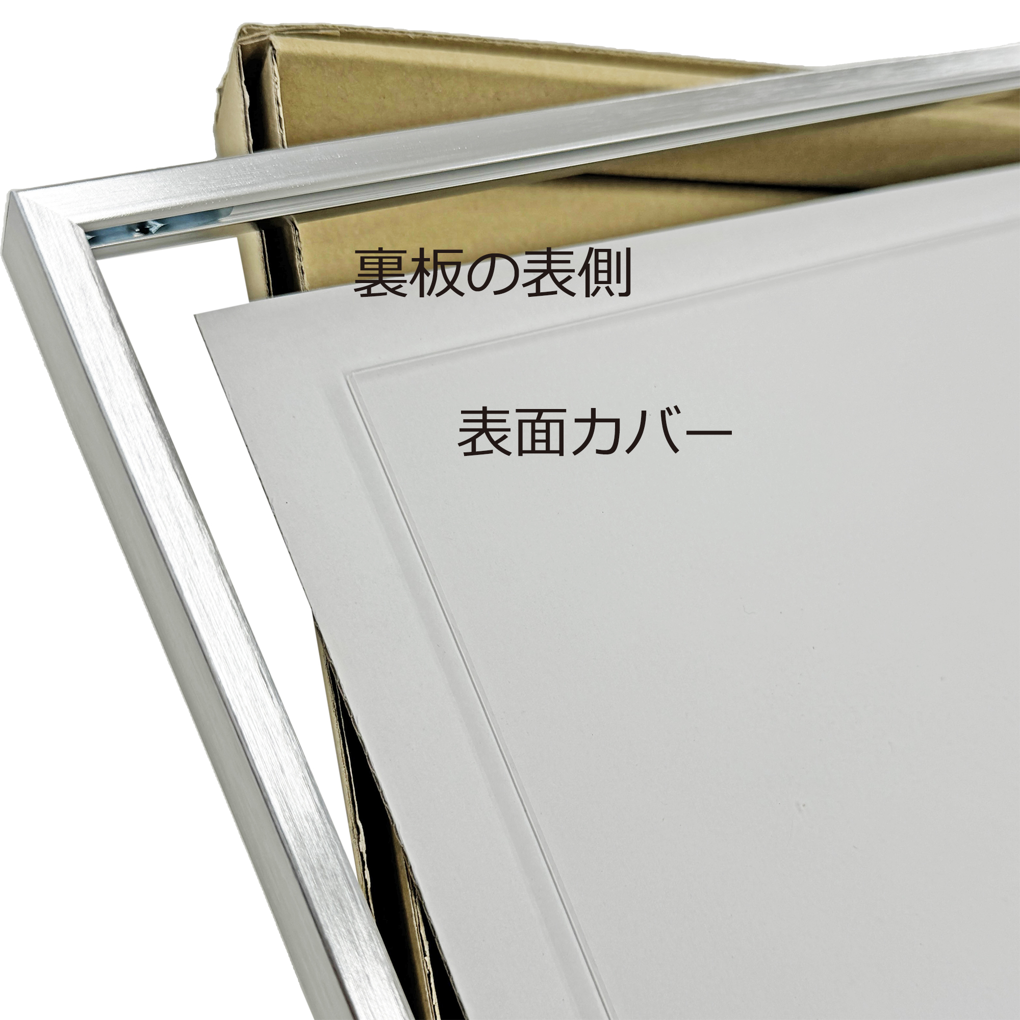 詳細画像6 ラインフレーム 5017