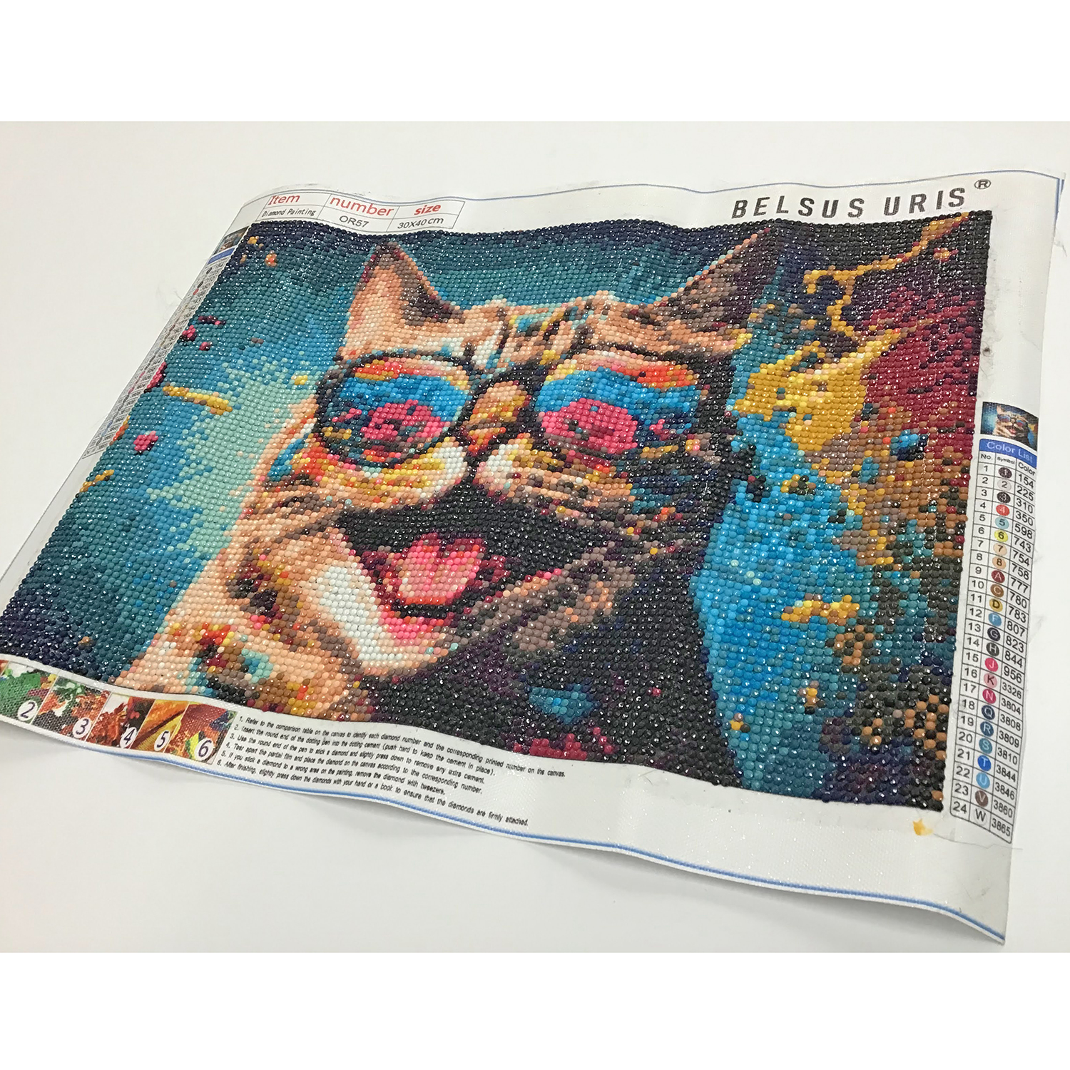 額装実例2 ダイヤモンドアート 猫