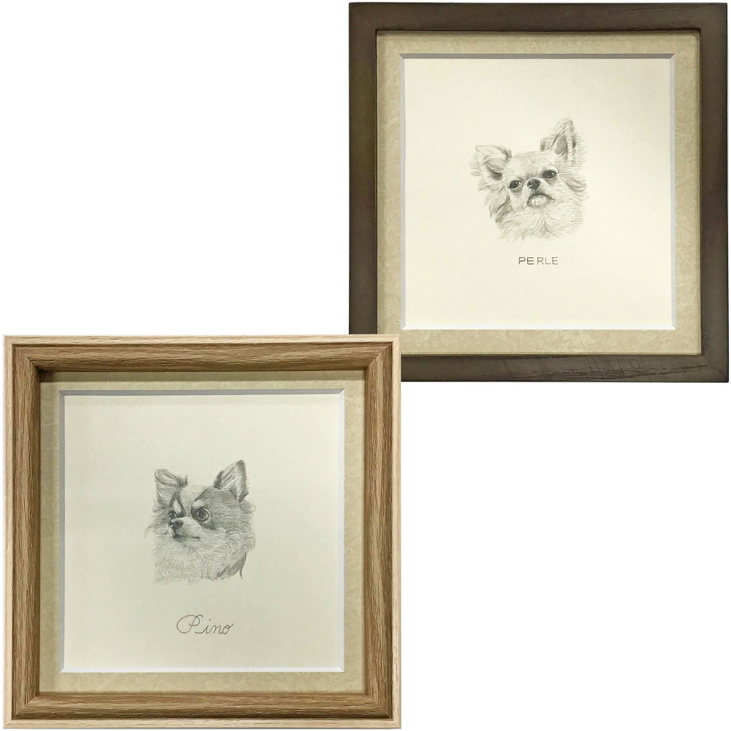 鉛筆画　犬
