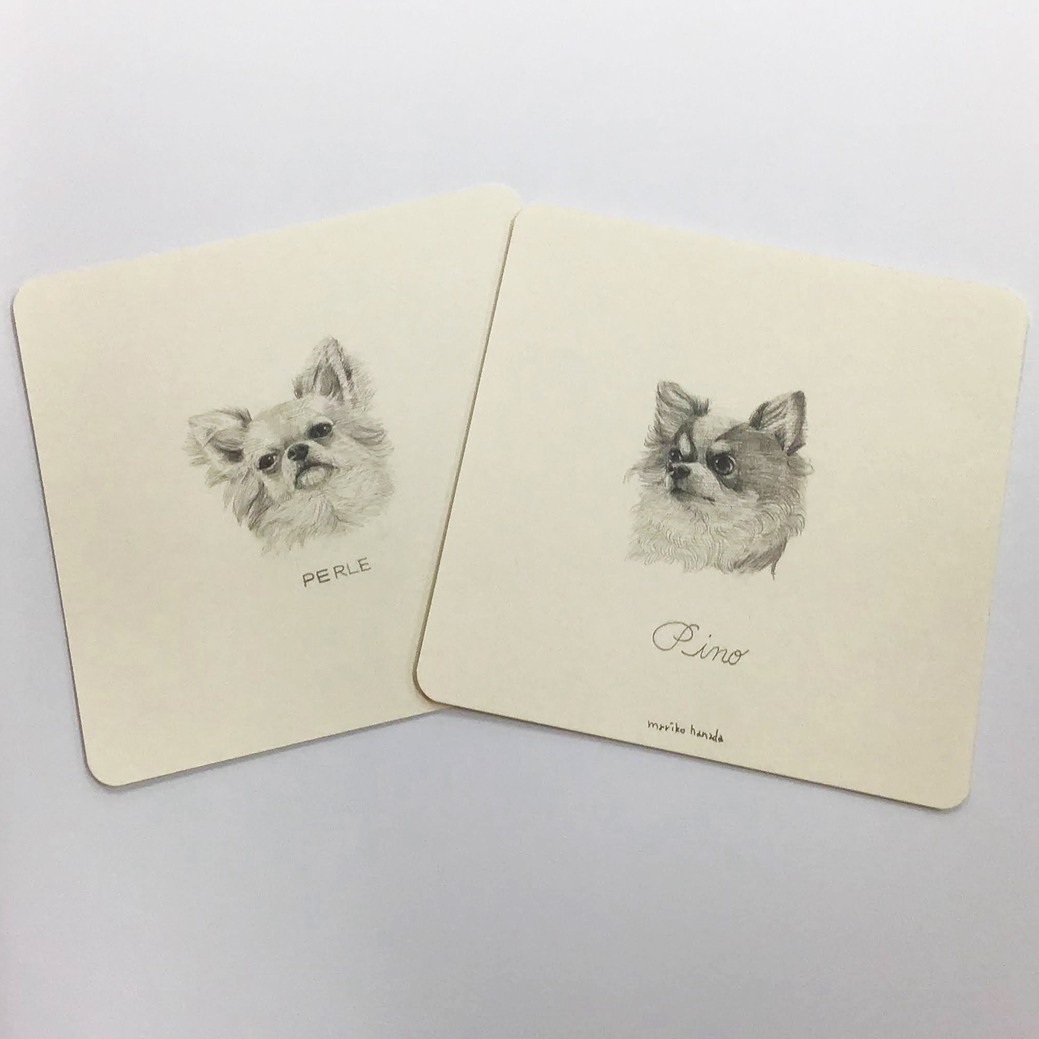 鉛筆画　犬