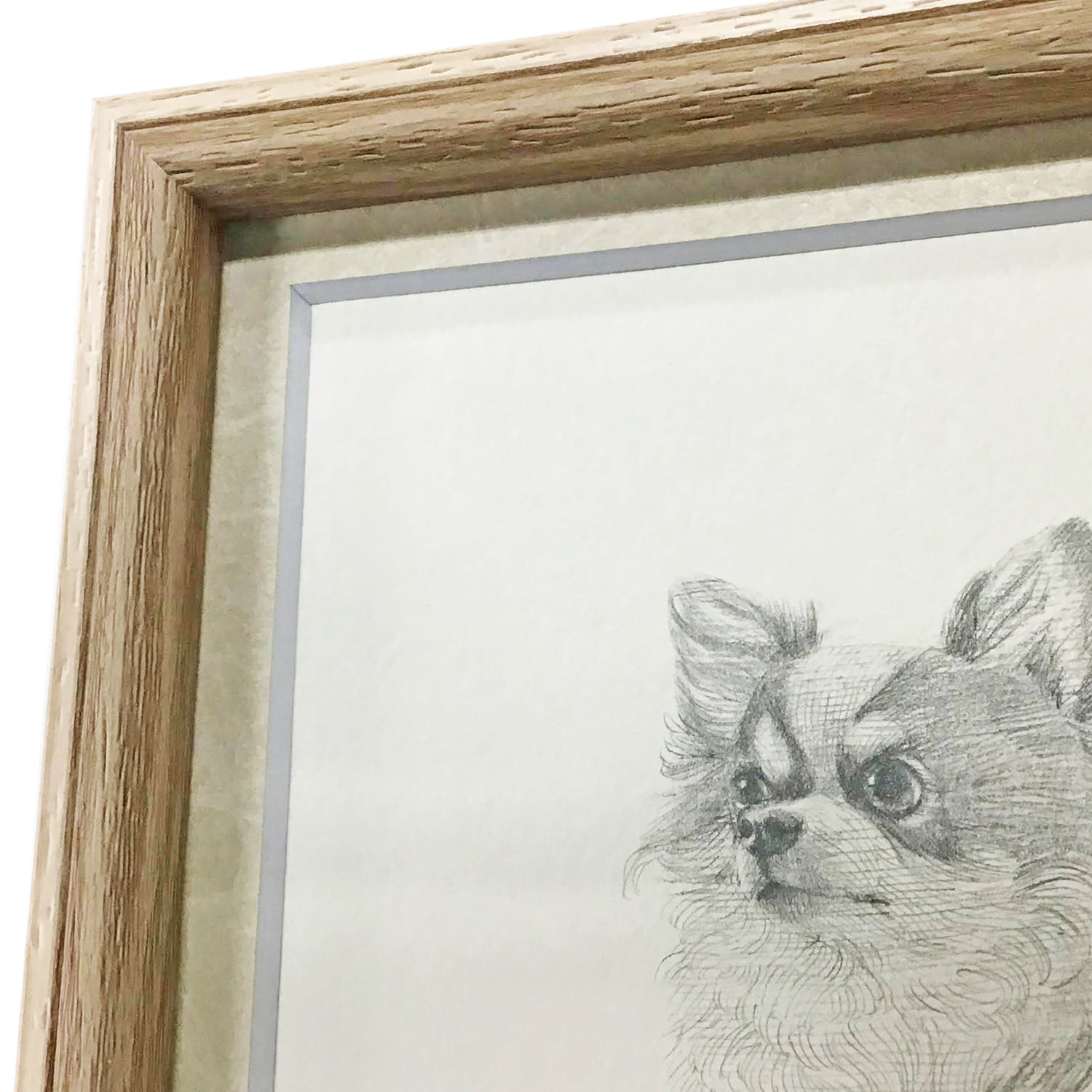 額装実例3 鉛筆画　犬