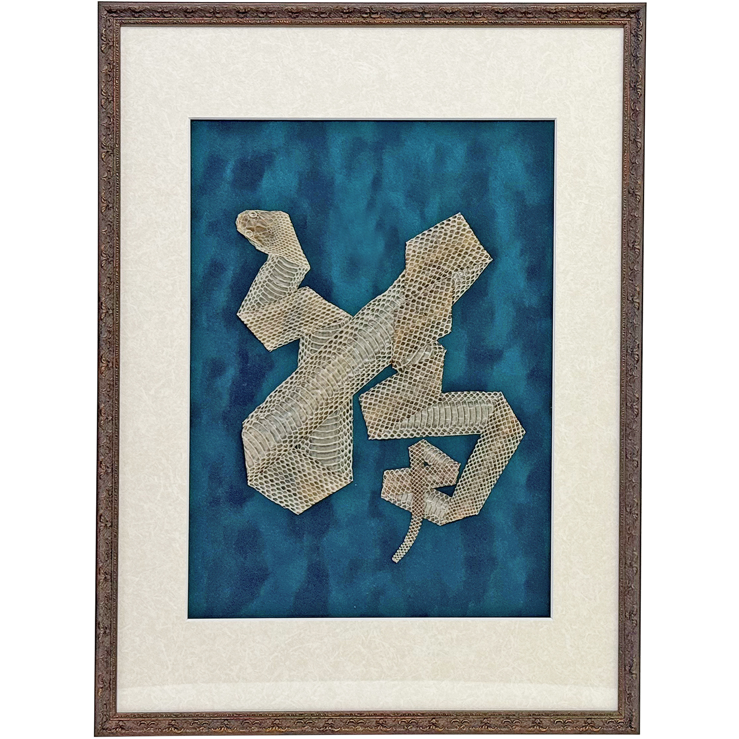 蛇の抜け殻 [福]の形で