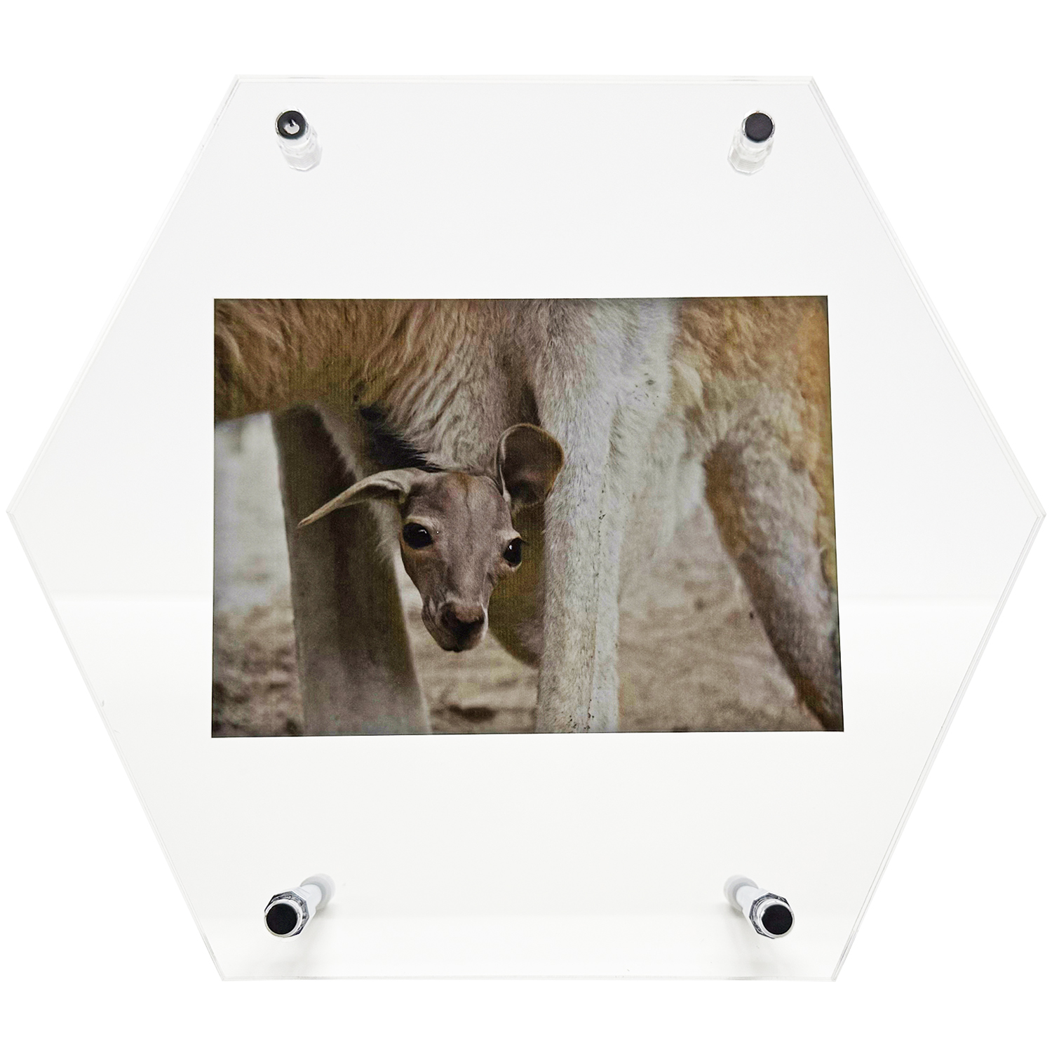 アクリルフレーム 六角形