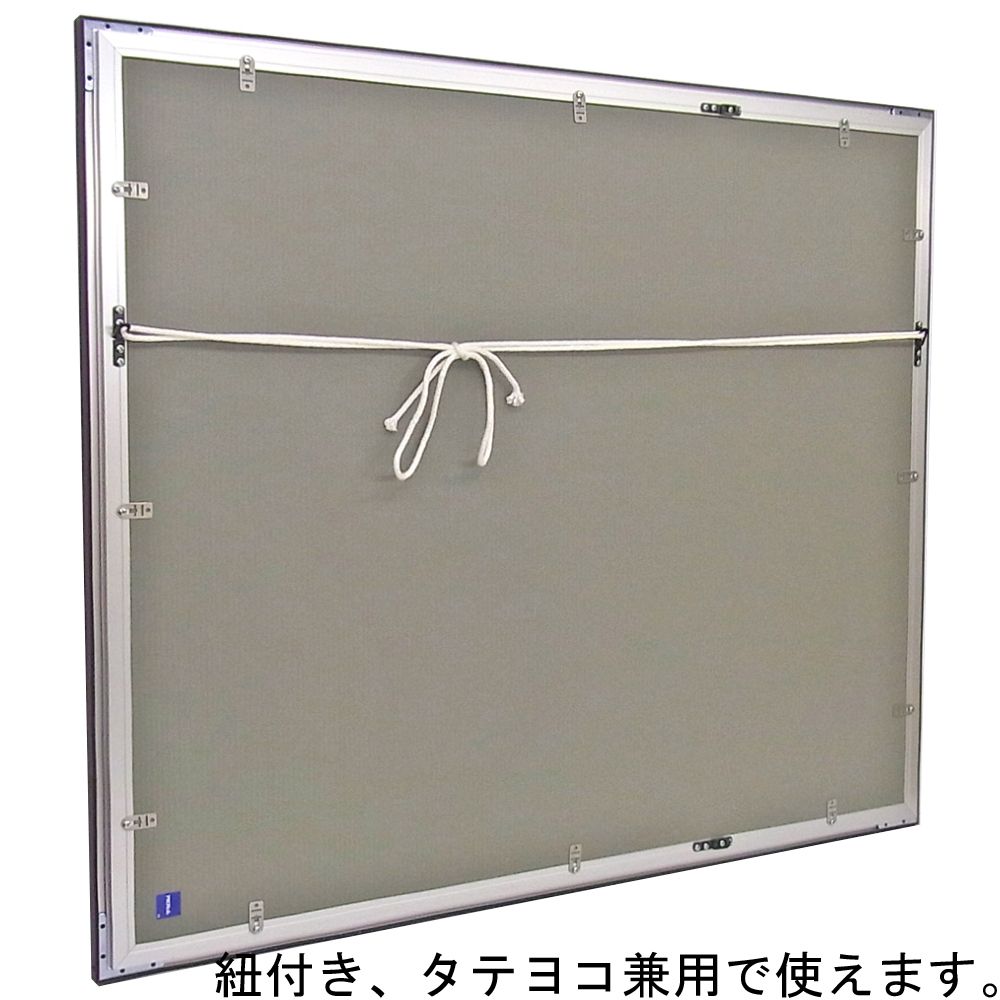 詳細画像5 SG-705P ステン:S