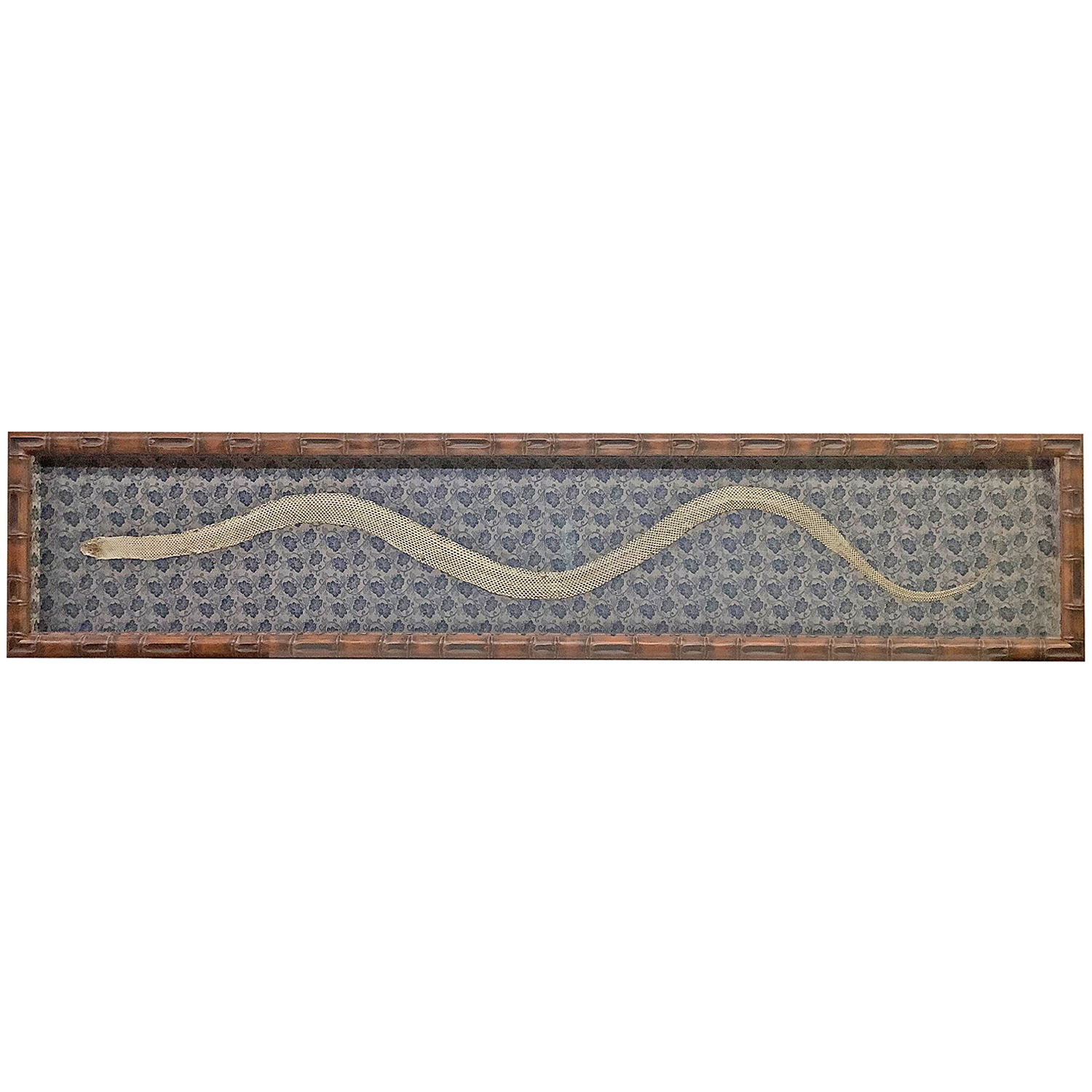 蛇の抜け殻 どんす和柄で