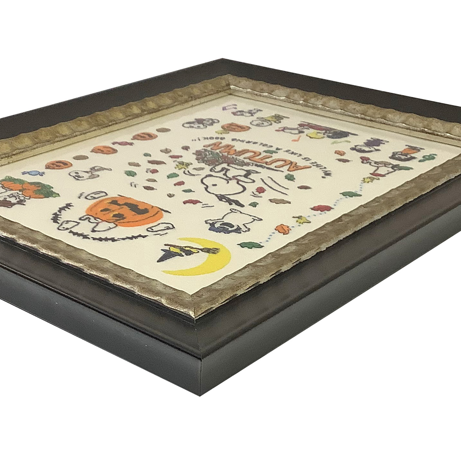 額装実例3 スヌーピー ハロウィンのクロスステッチ