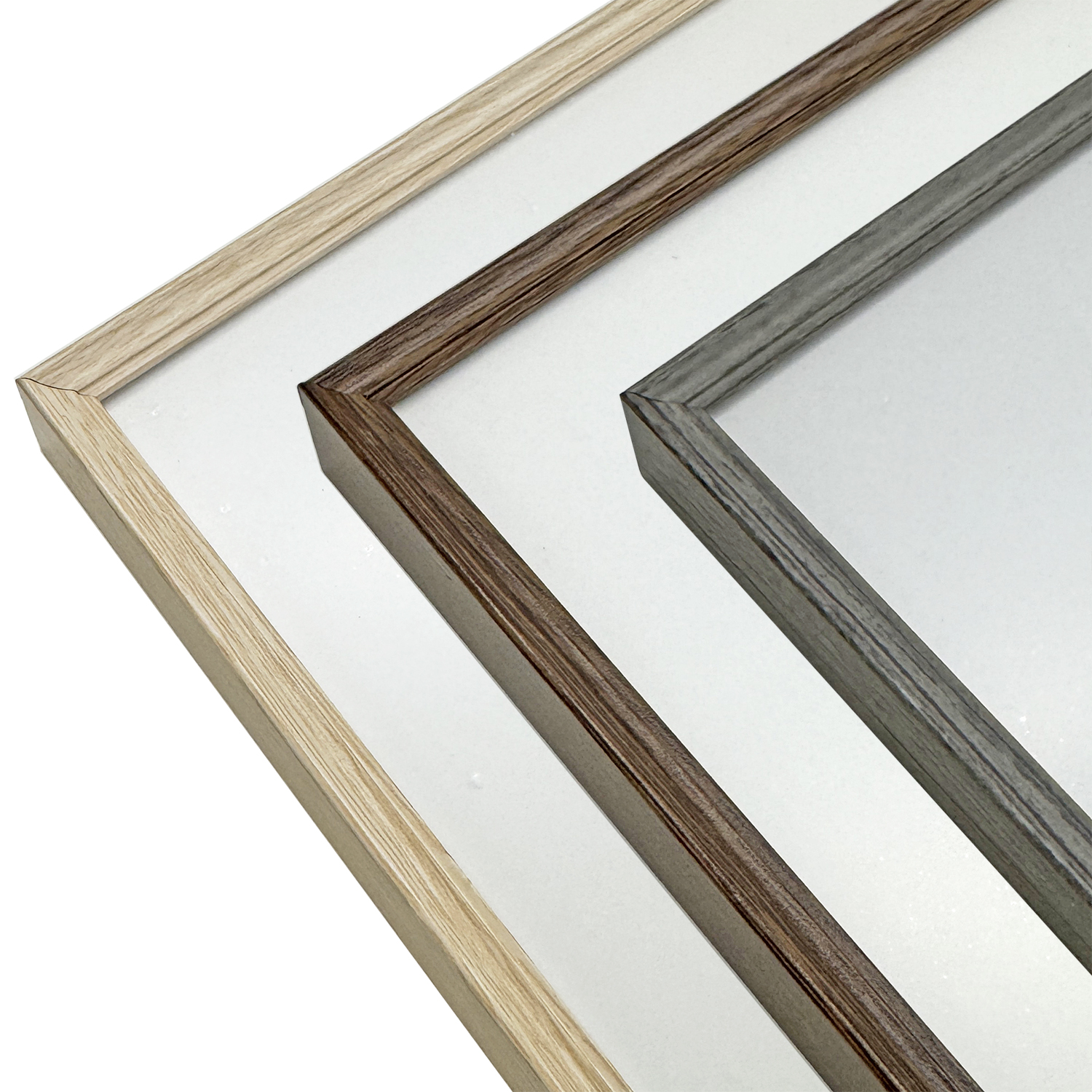 詳細画像3 ラインフレーム 5019