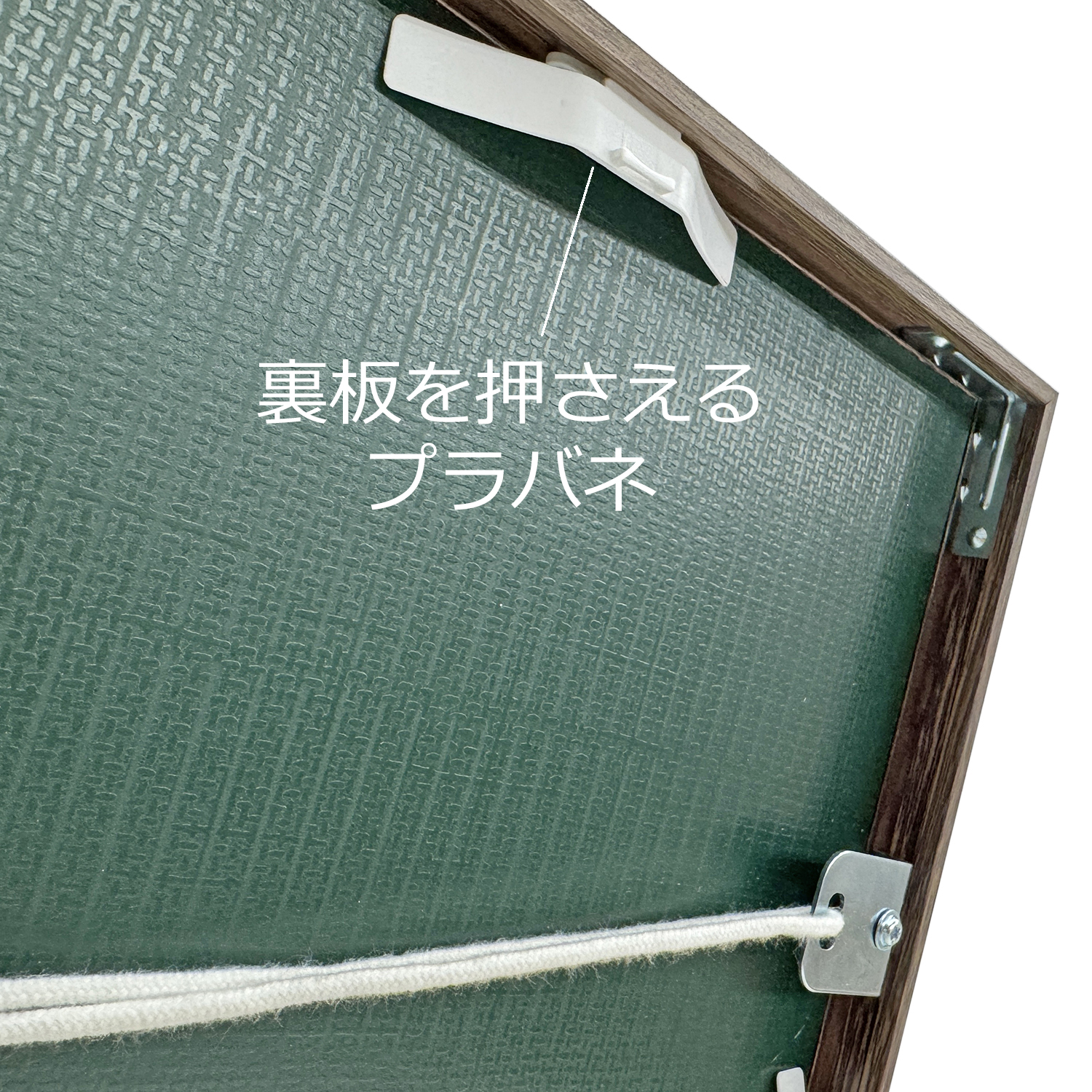 詳細画像7 ラインフレーム 5019