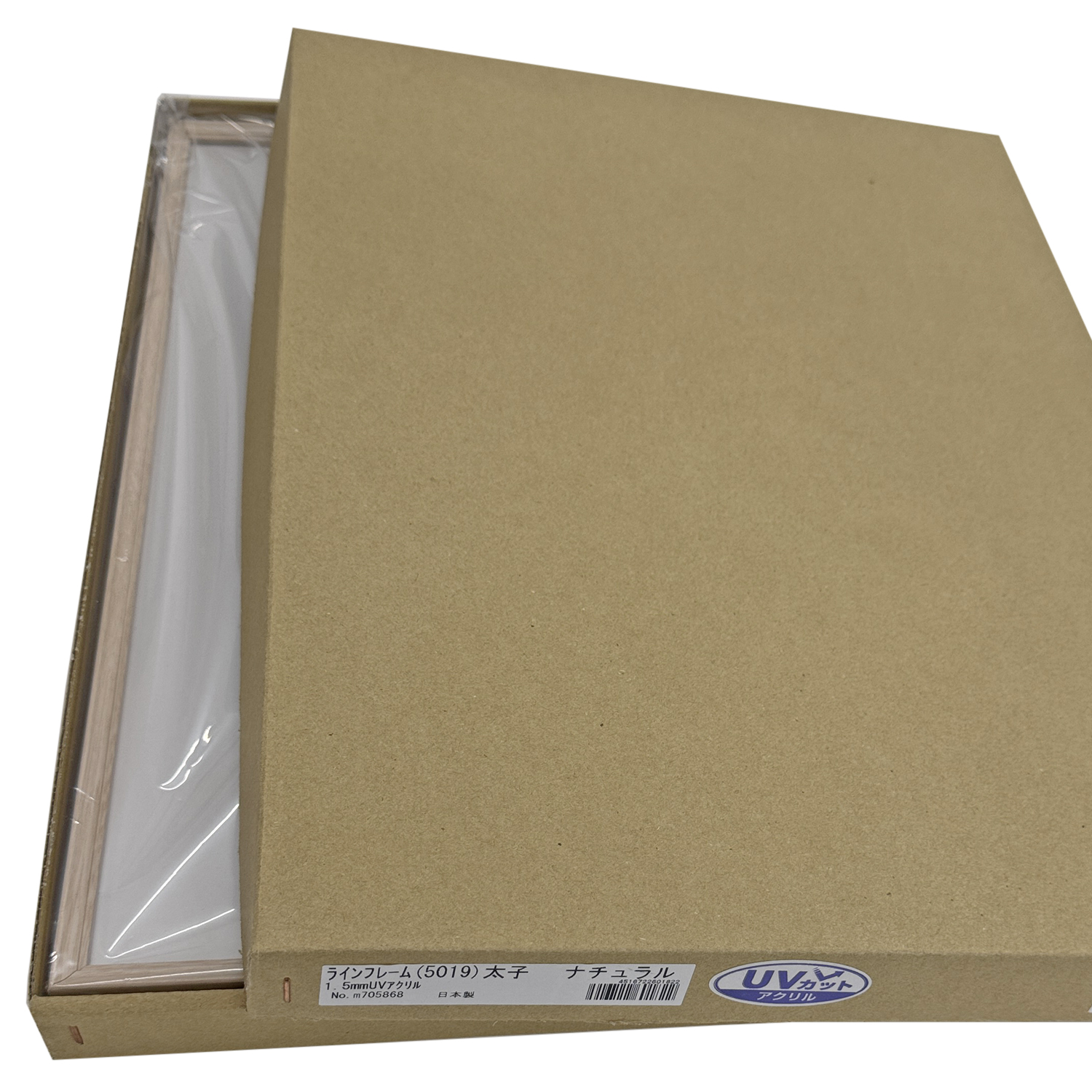 詳細画像9 ラインフレーム 5019