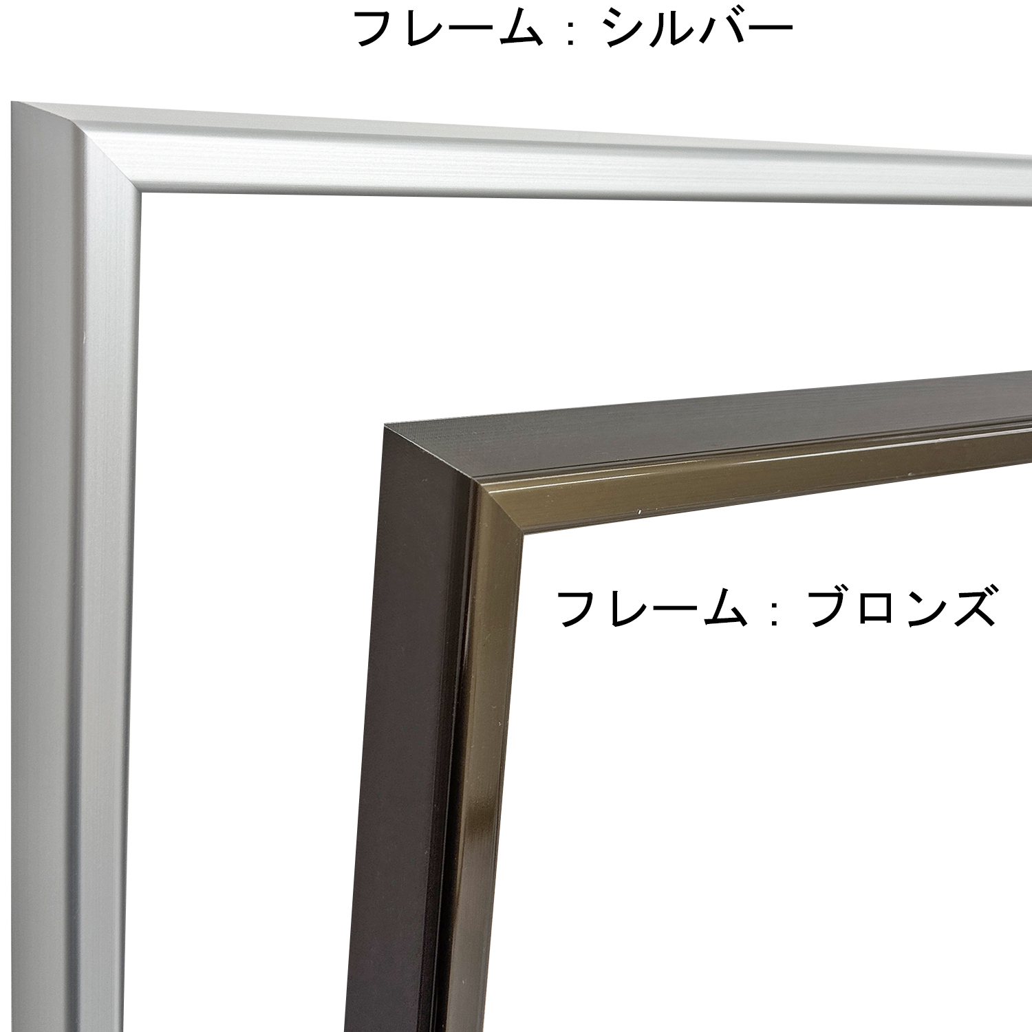 一般額・デッサン額(薄めの品物全般を飾る額縁)：741×862(水彩F20