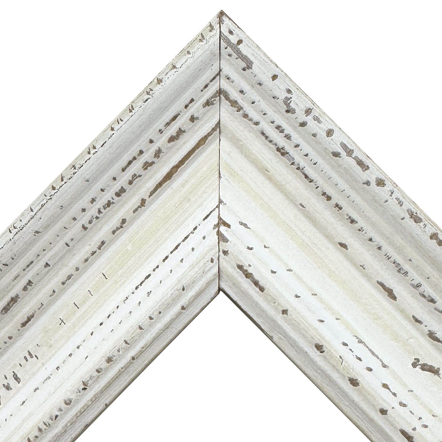 詳細画像2 D-21023