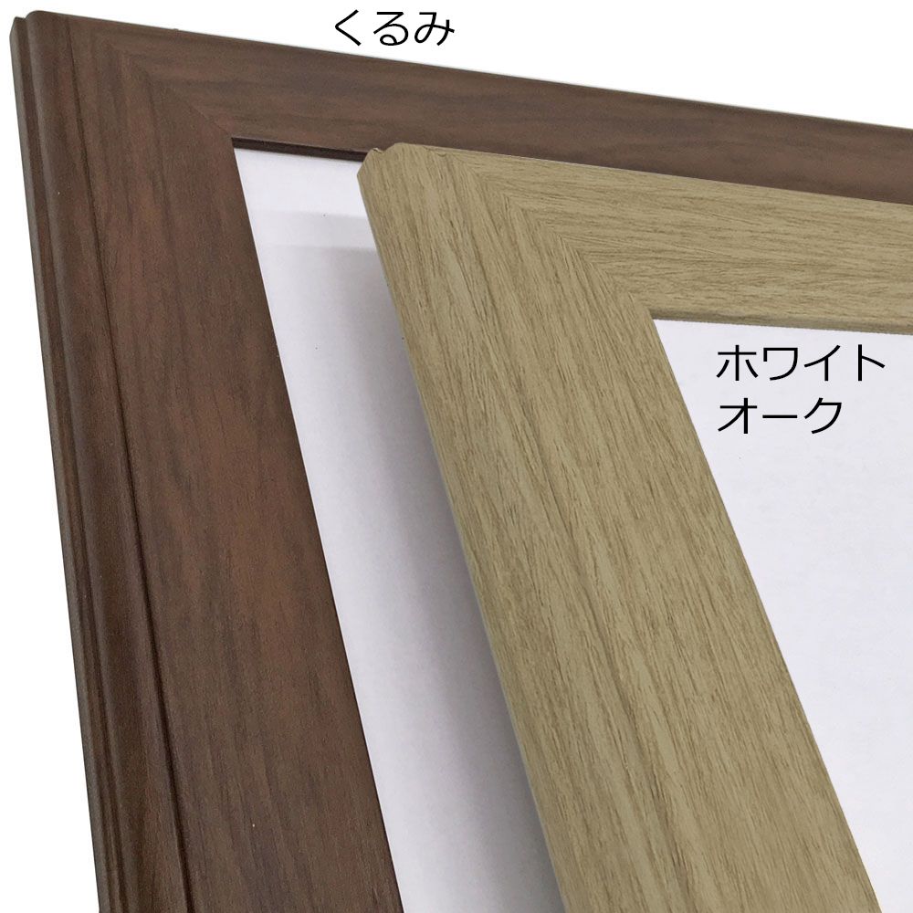 詳細画像2 一般額 APS-01