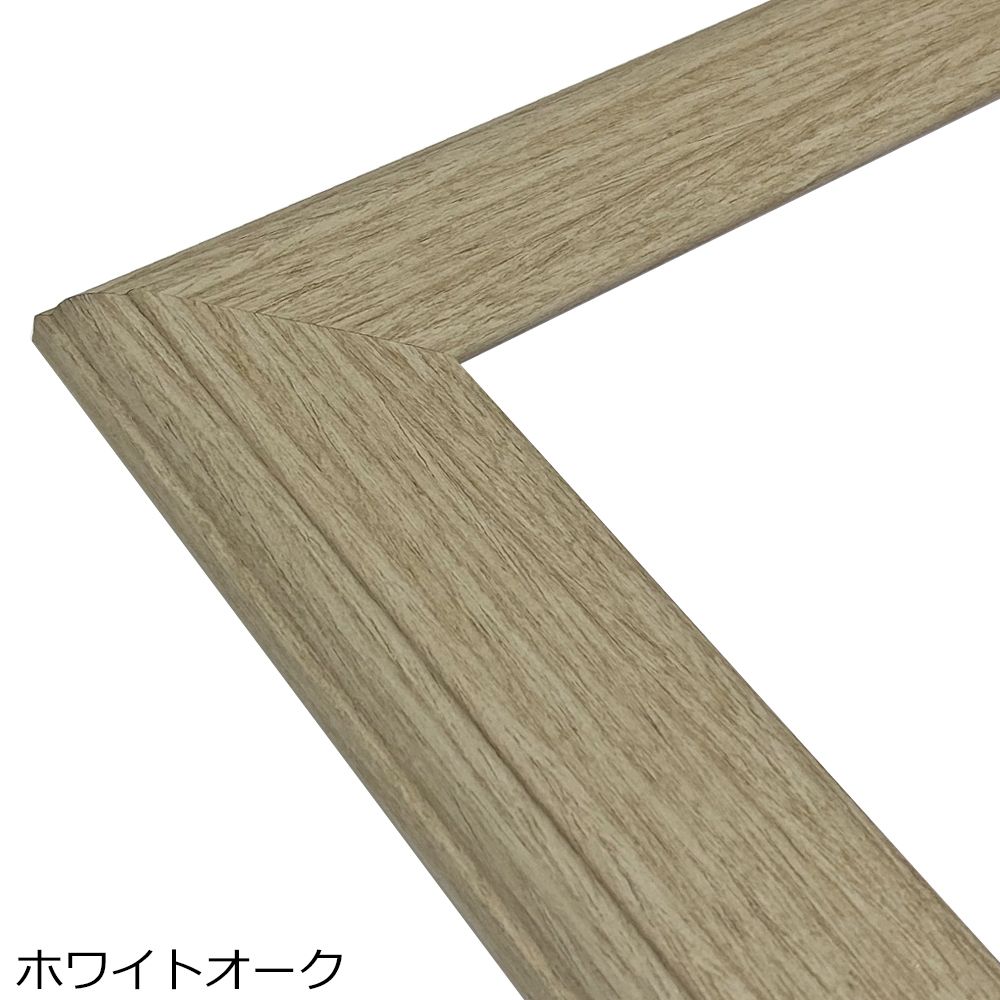 詳細画像5 一般額 APS-01