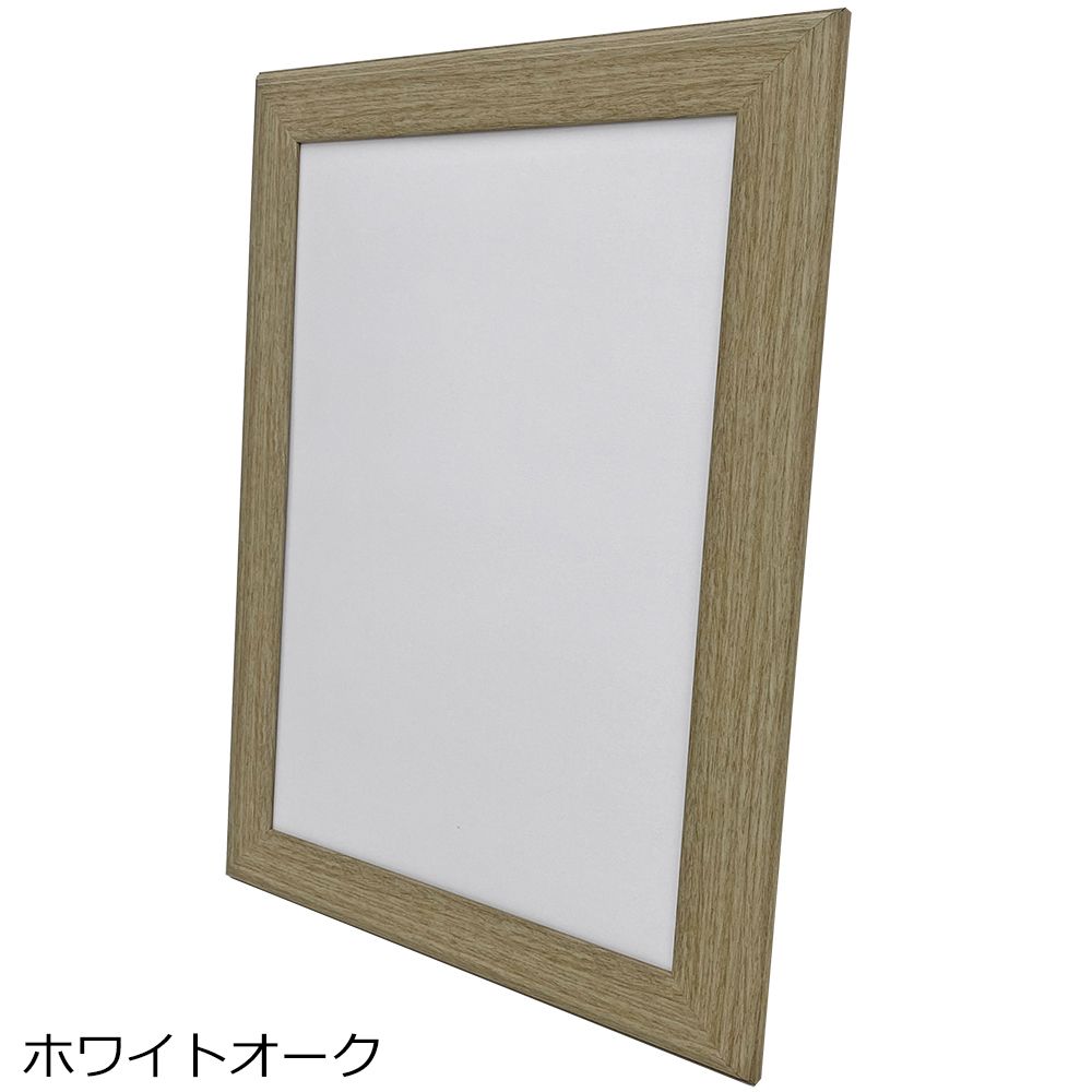 詳細画像6 一般額 APS-01