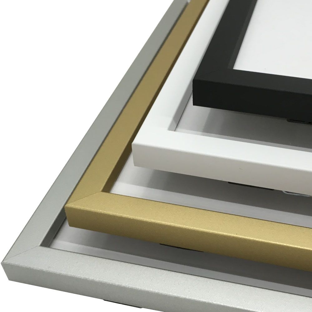 詳細画像3 一般額 BH-210F