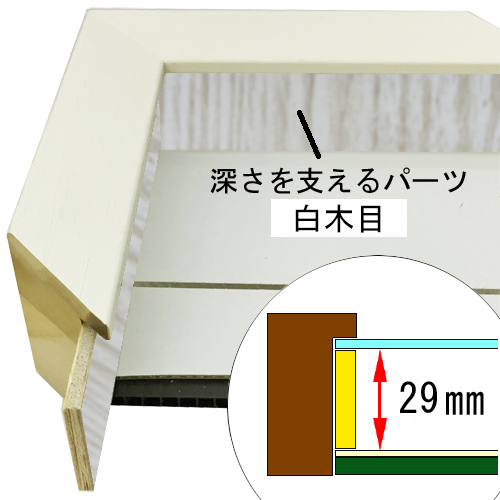 詳細画像4 DG-3485 ホワイト