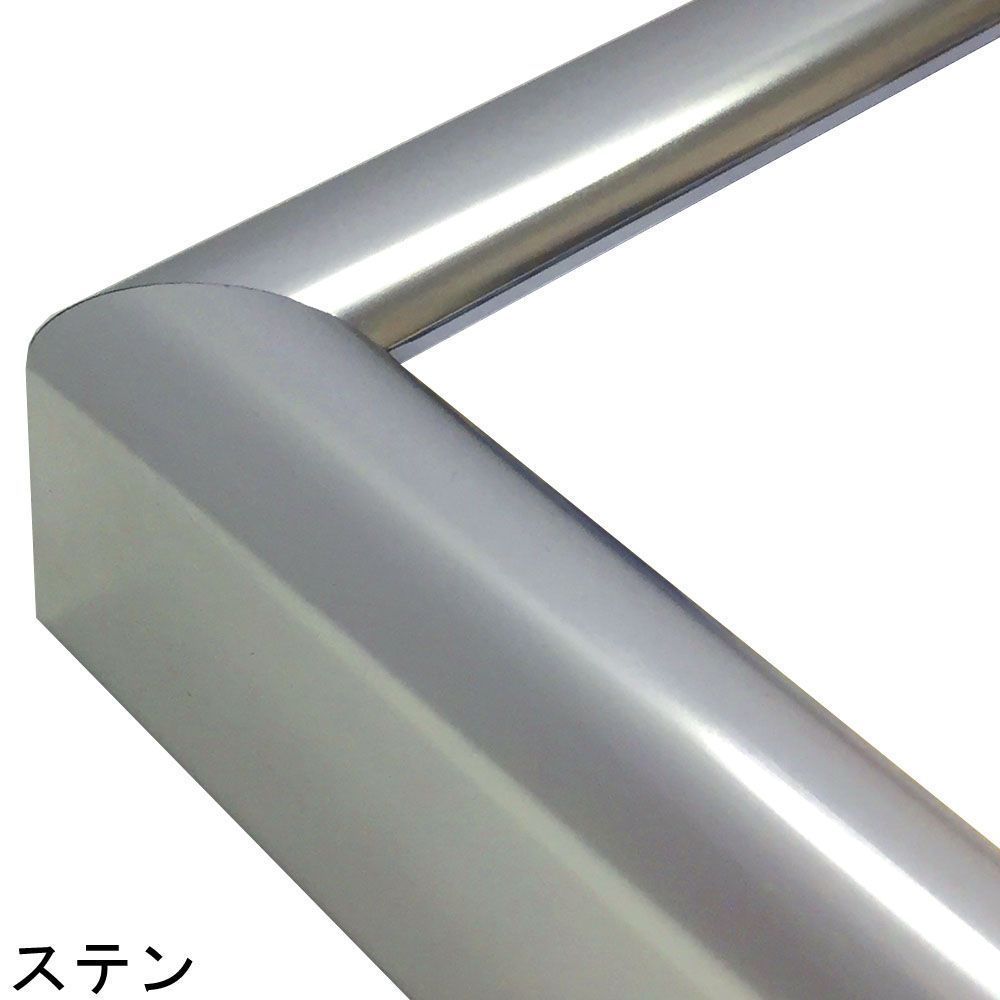 CD56 ステン:S