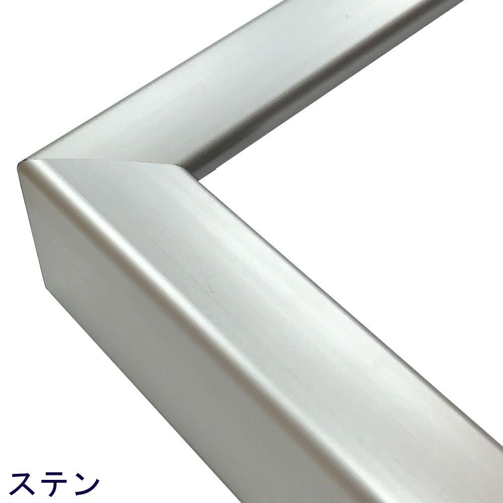 CD22 ステン:S