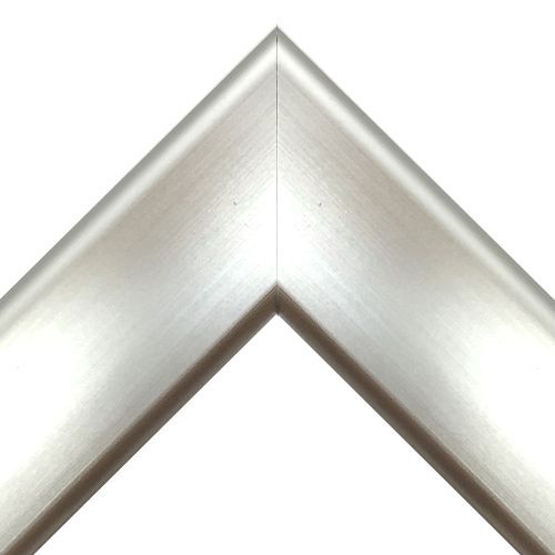 CD22 ステン:S
