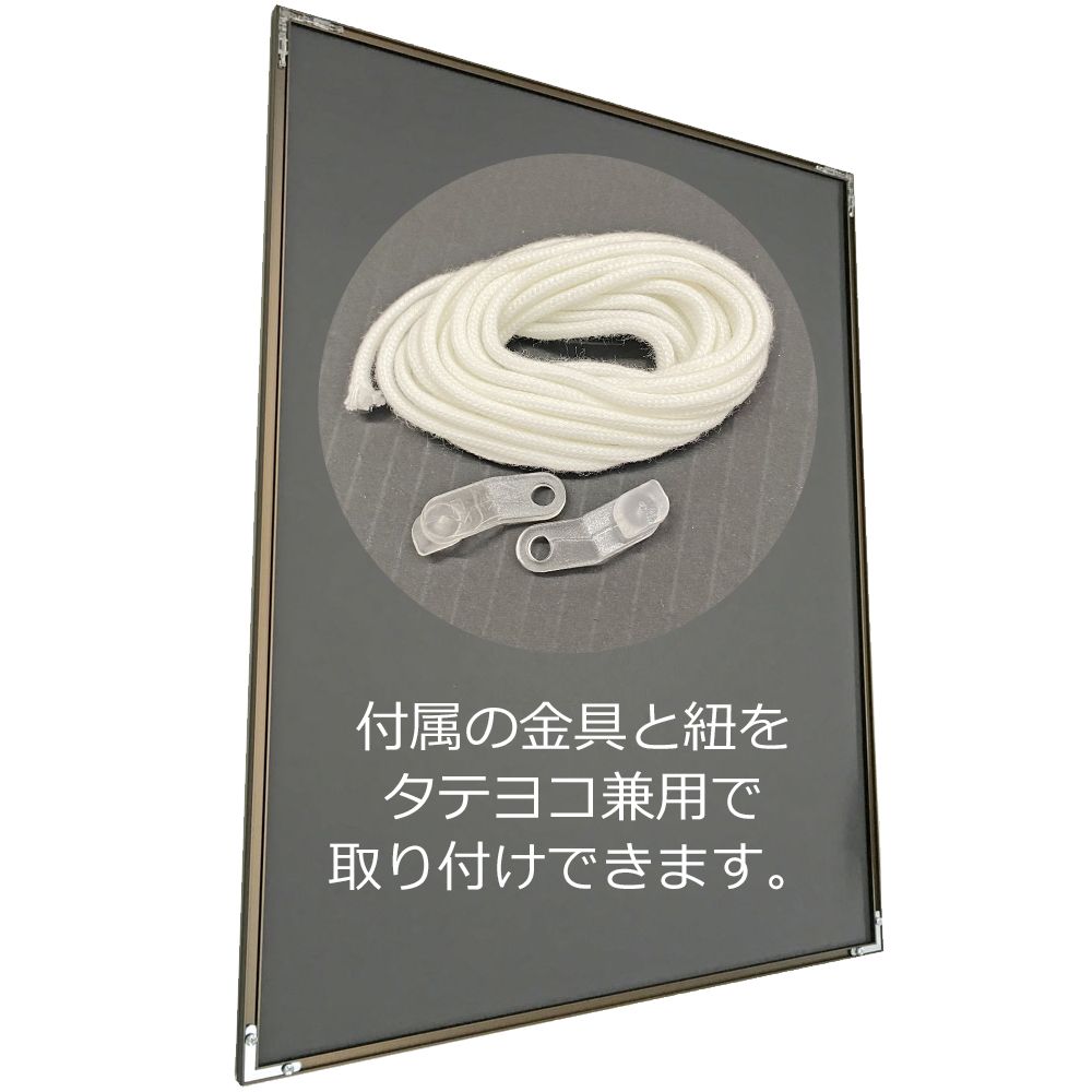 詳細画像6 NEWライトフレーム