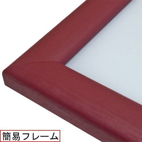 詳細画像 エコパネル-S レッド